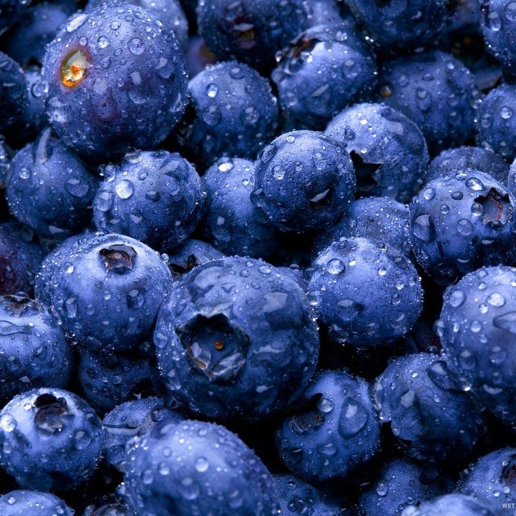 Blaubeeren, Lebensmittel, iPad, kostenlos, Download, 1030x1030 HD Handy