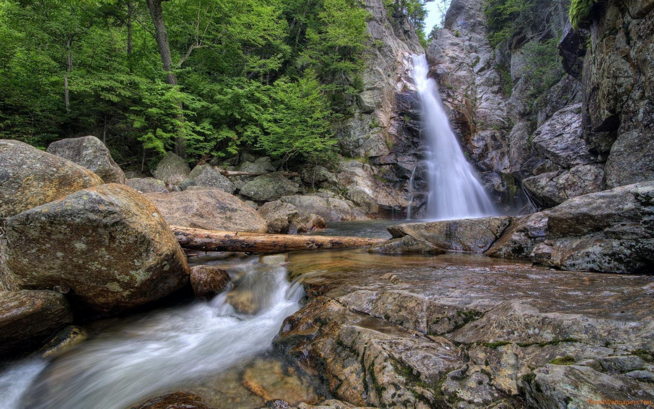 Glen Ellis Wasserfall, New Hampshire, Hintergrundbild, reisen, Natur, 2560x1600 HD Desktop