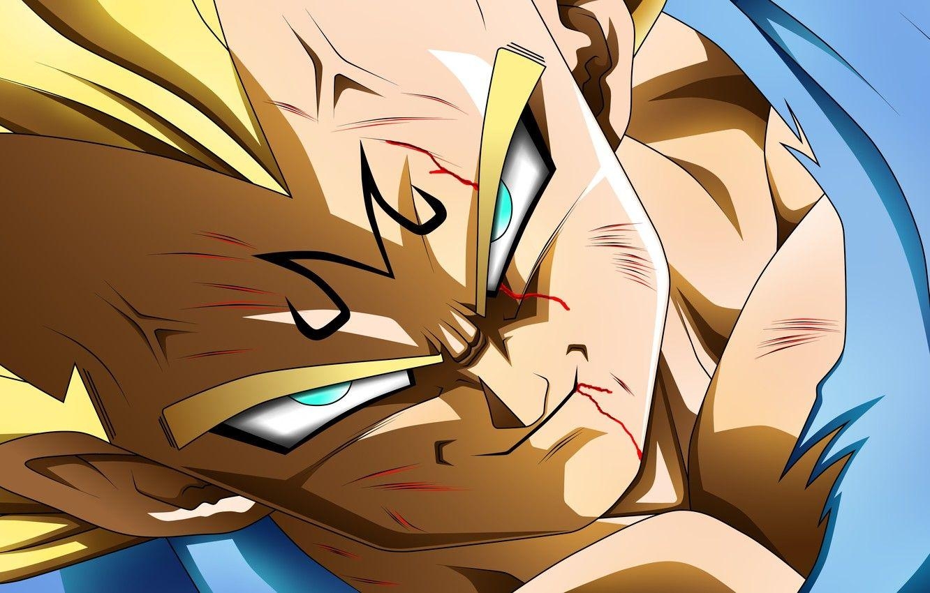 Majin Vegeta, Anime, Spiel, Manga, Mächtig, 1340x850 HD Desktop