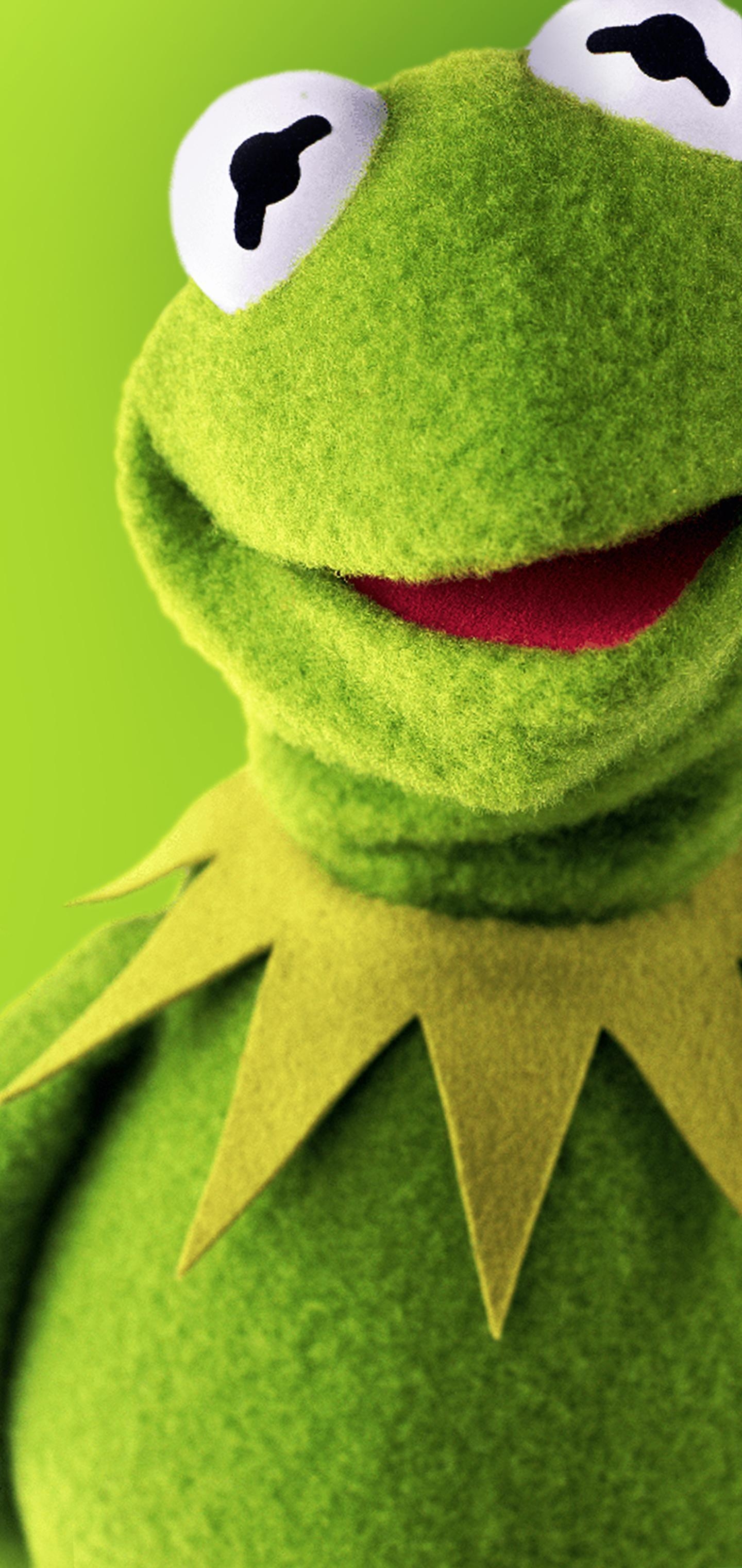 Kermit der Frosch, Ausschnitt, Hintergrund, Frosch, Enjoy, 1440x3040 HD Handy