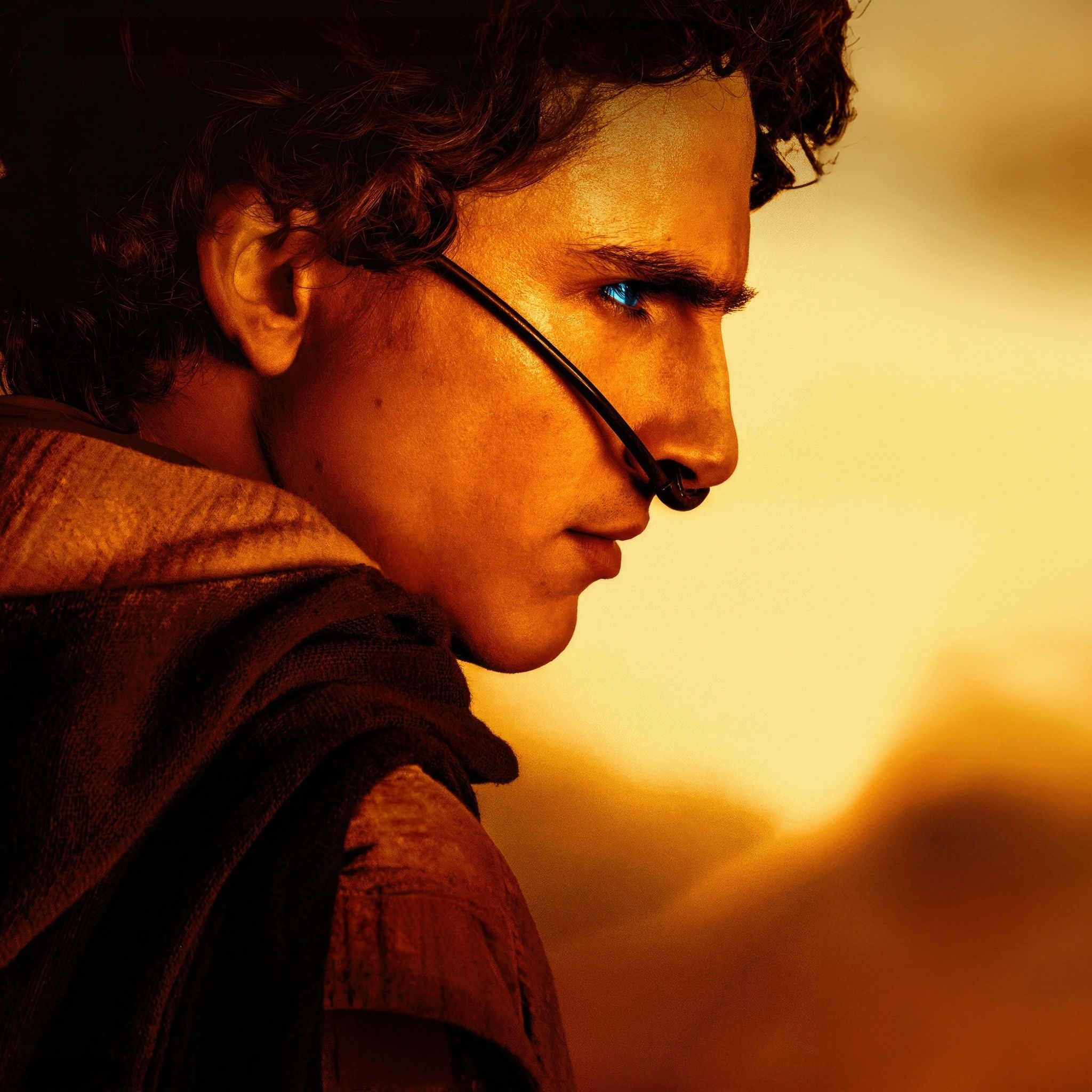 Paul Atreides, 4K, Dune, 5K, Filme 2024, 2050x2050 HD Handy