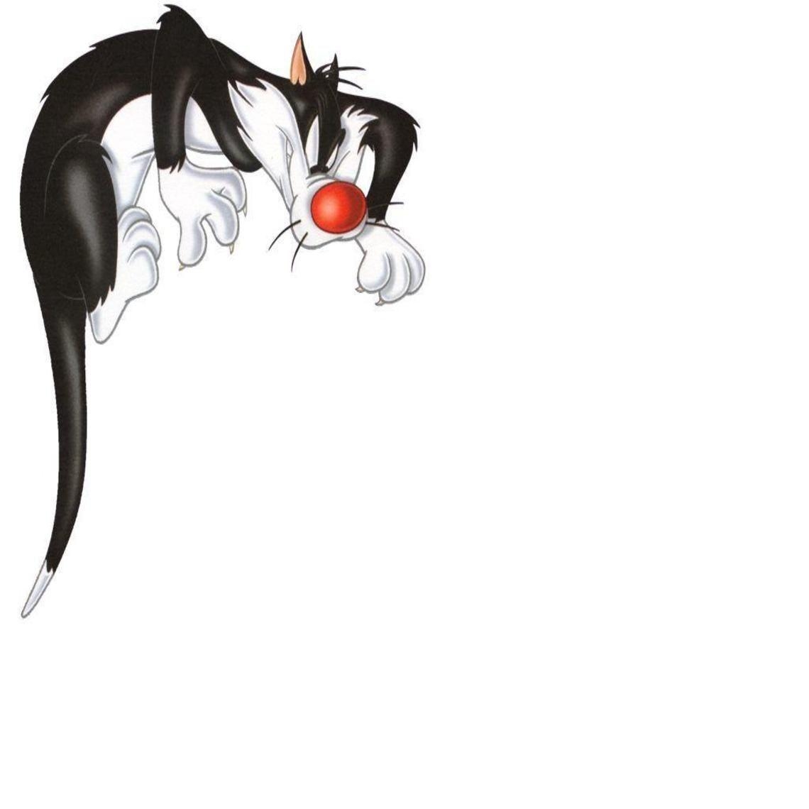 Sylvester der Kater, Looney Tunes, Cartoon, HD, Bild, 1140x1140 HD Handy