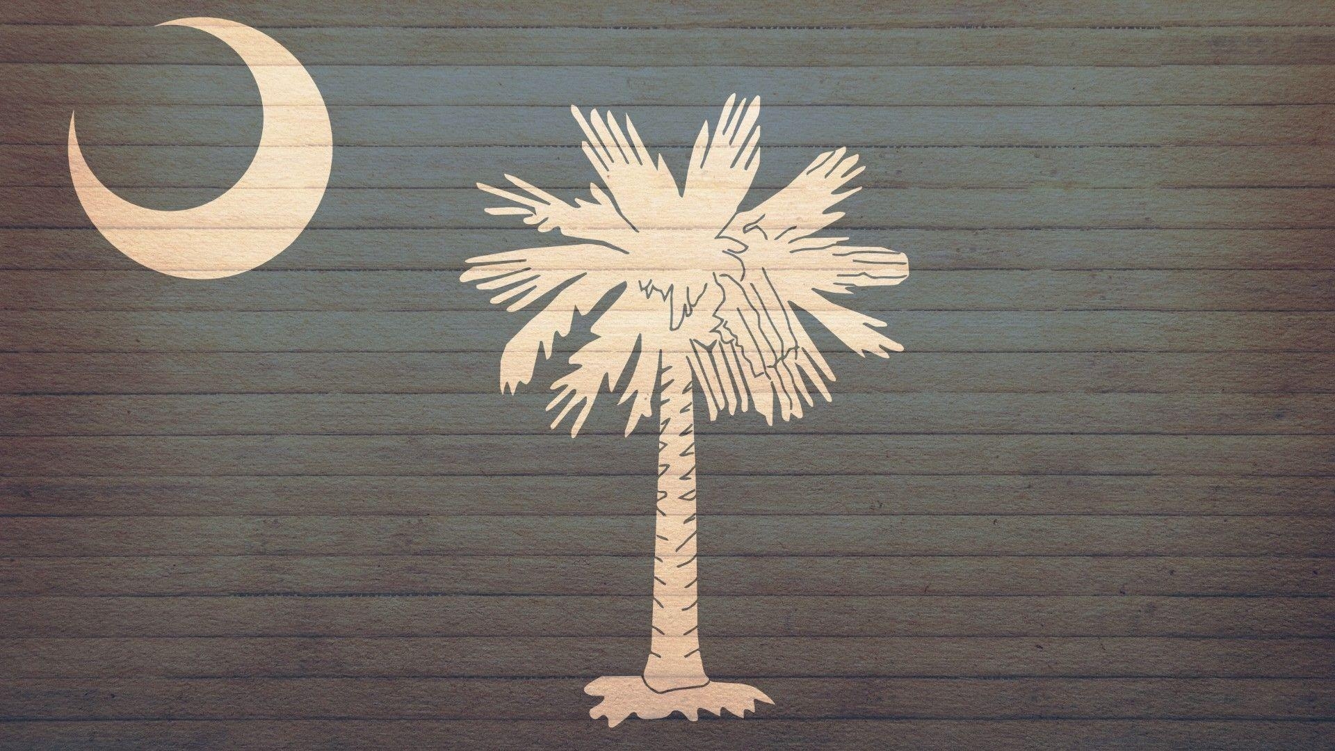 South Carolina Flagge, 1920x1080, USA, Reisen, Freier Download, 1920x1080 Full HD Desktop