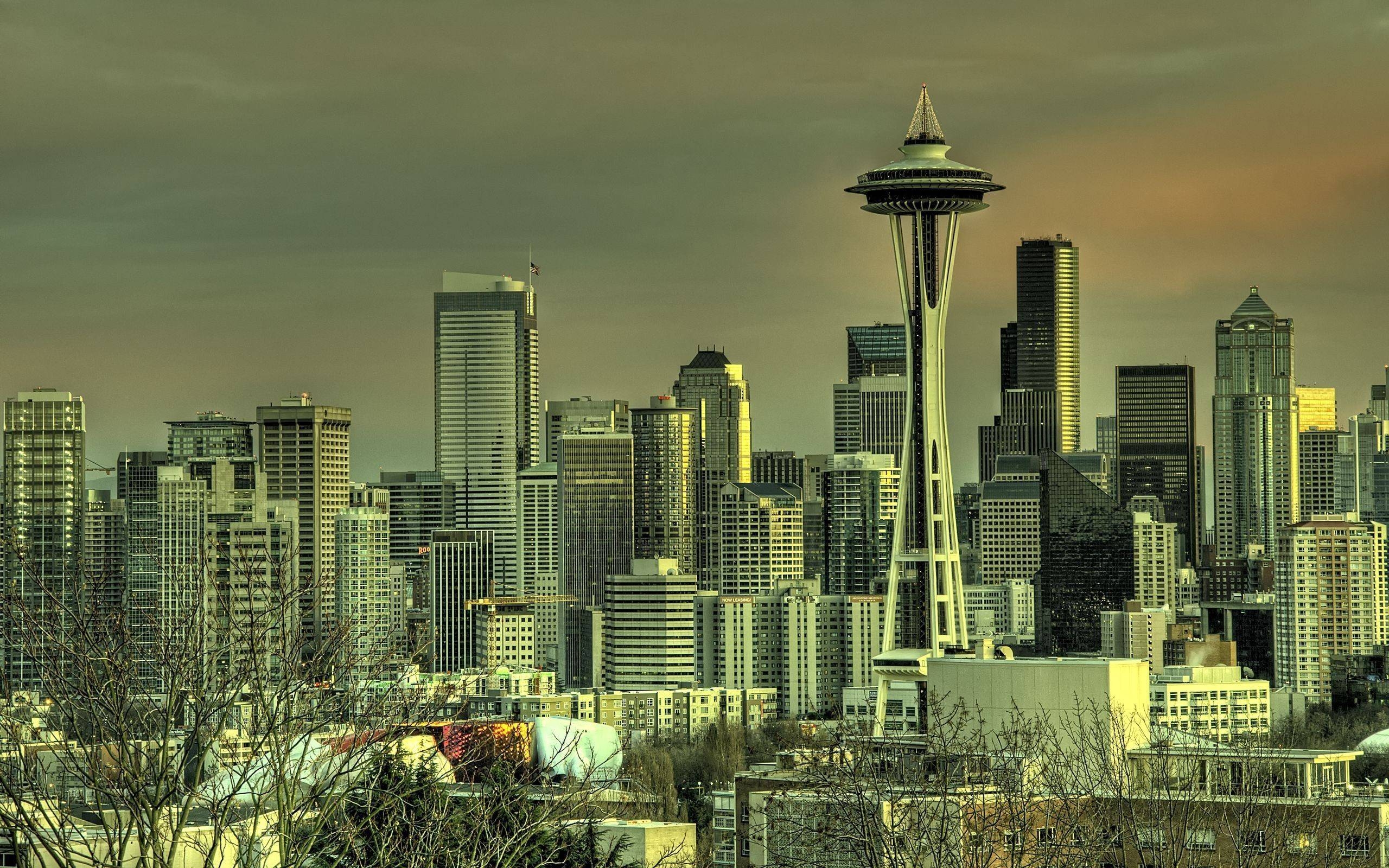 Space Needle, Seattle, Wahrzeichen, USA, Turm, 2560x1600 HD Desktop