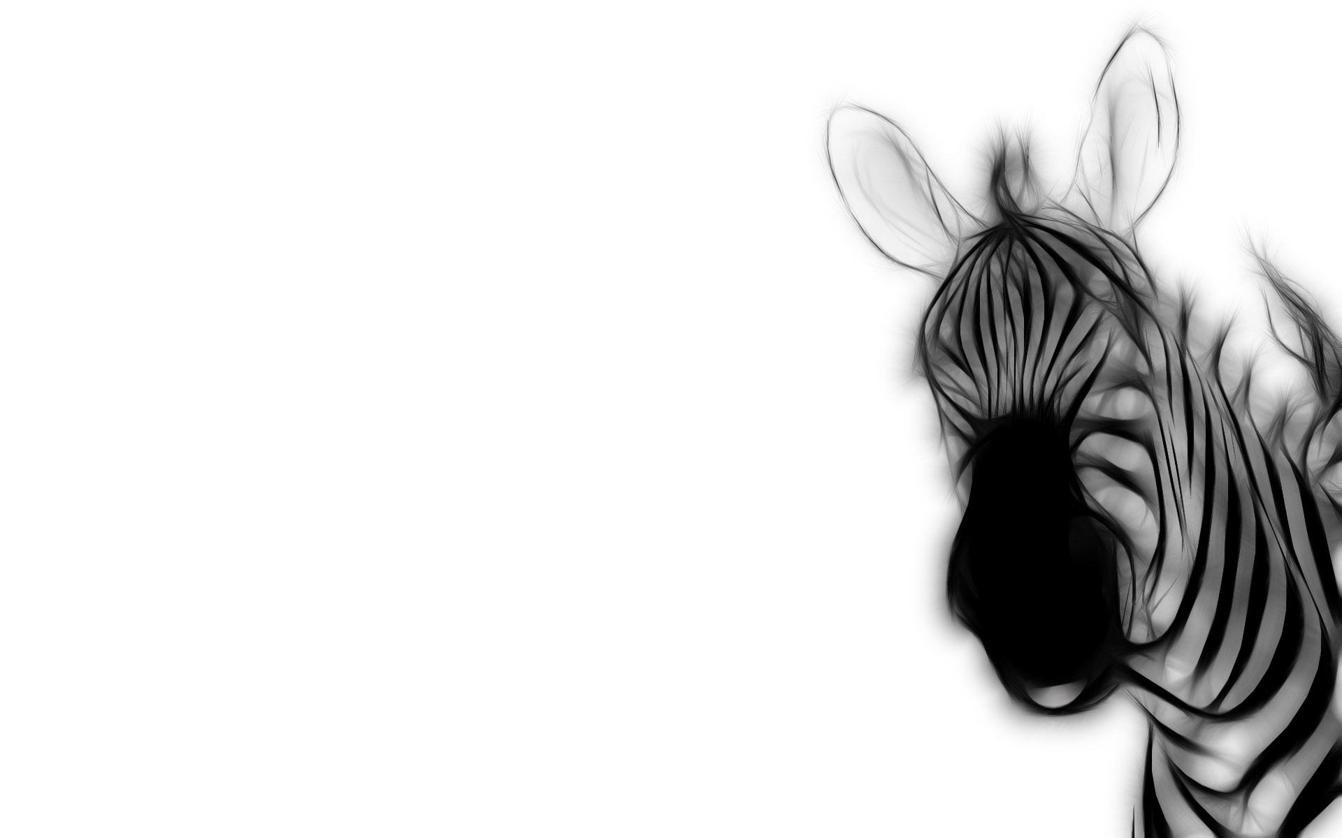 Zebra, Streifenohren, HD, Bild, Hintergrund, 1920x1200 HD Desktop