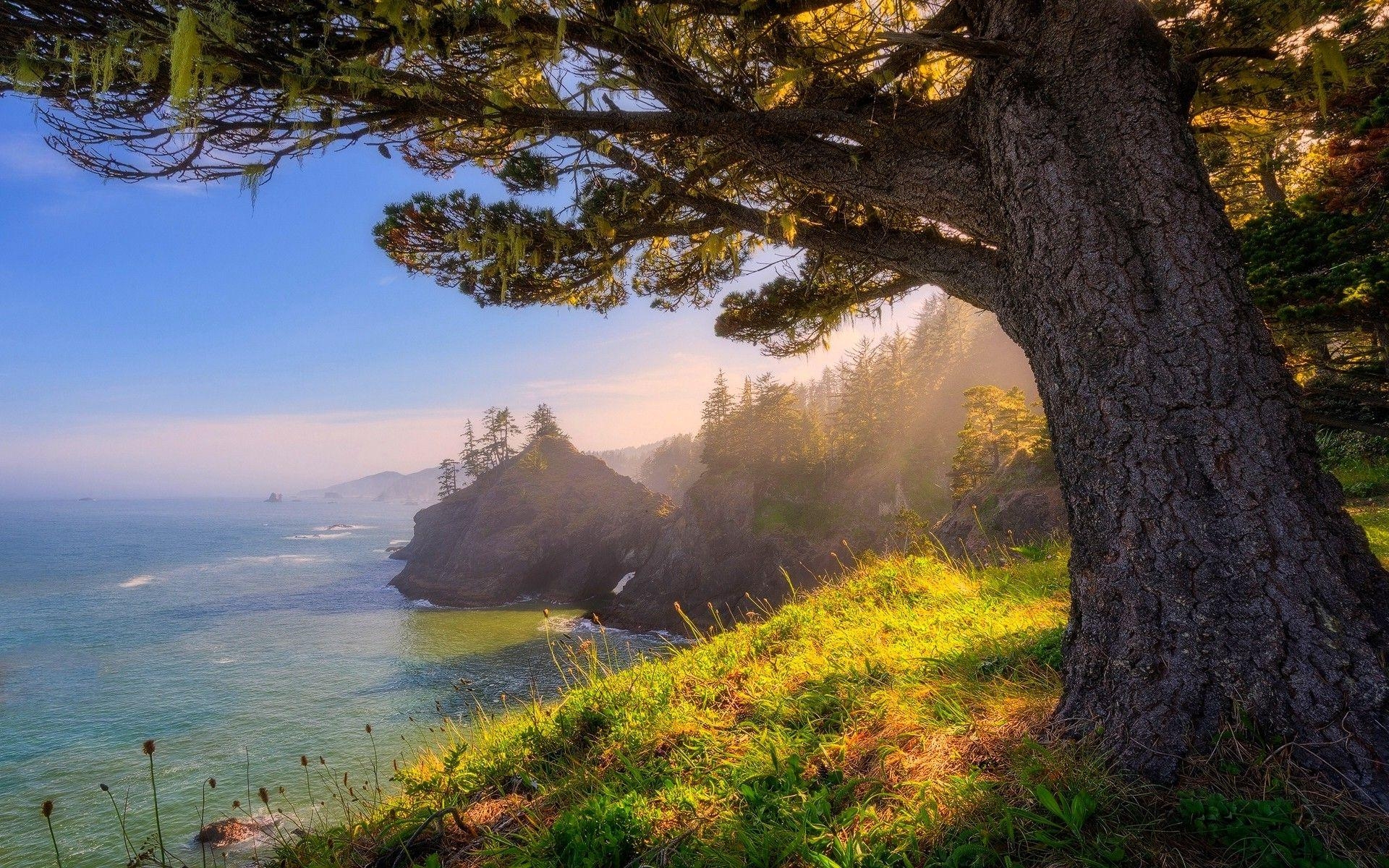 Oregon, Landschaft, Reisen, HD, Natur, 1920x1200 HD Desktop