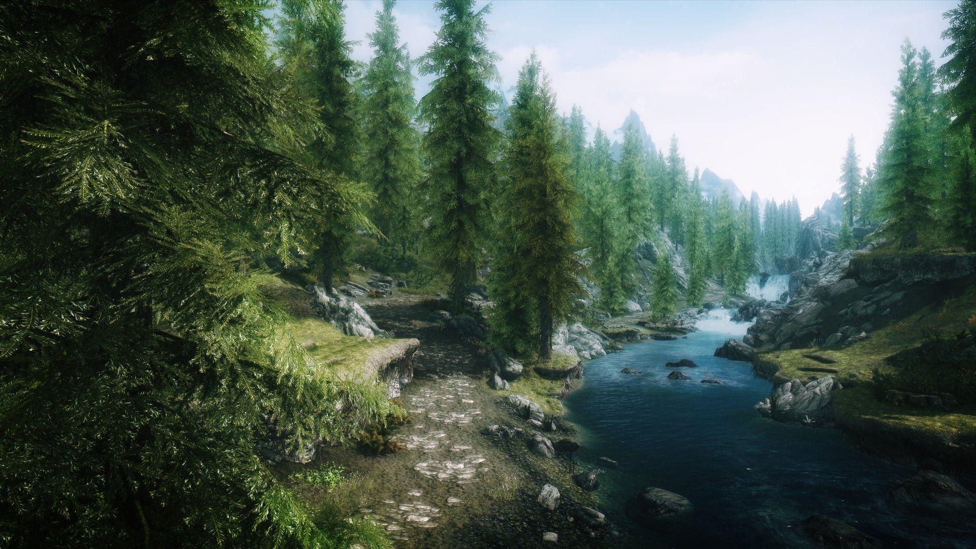 Wald, Skyrim, Elder Scrolls V, Gaming, 1920x1080, 1920x1080 Full HD Desktop