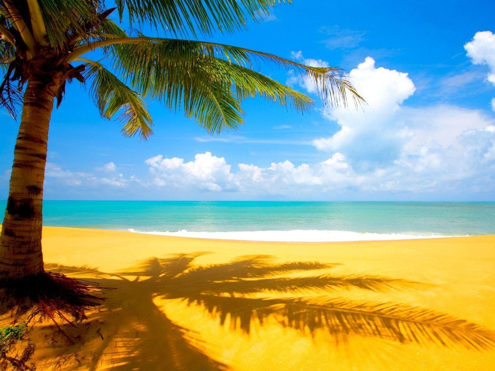 Puerto Rico, Strand, Hochwertig, Kostenlose Downloads, Reisen, 1600x1200 HD Desktop