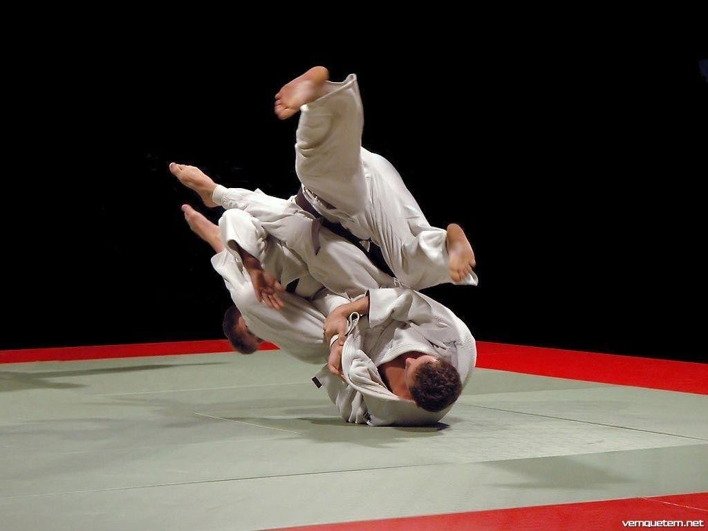 Jiu Jitsu Hintergrund, kostenlos, Darstellung, BJJ, Kampfkunst, 1030x770 HD Desktop