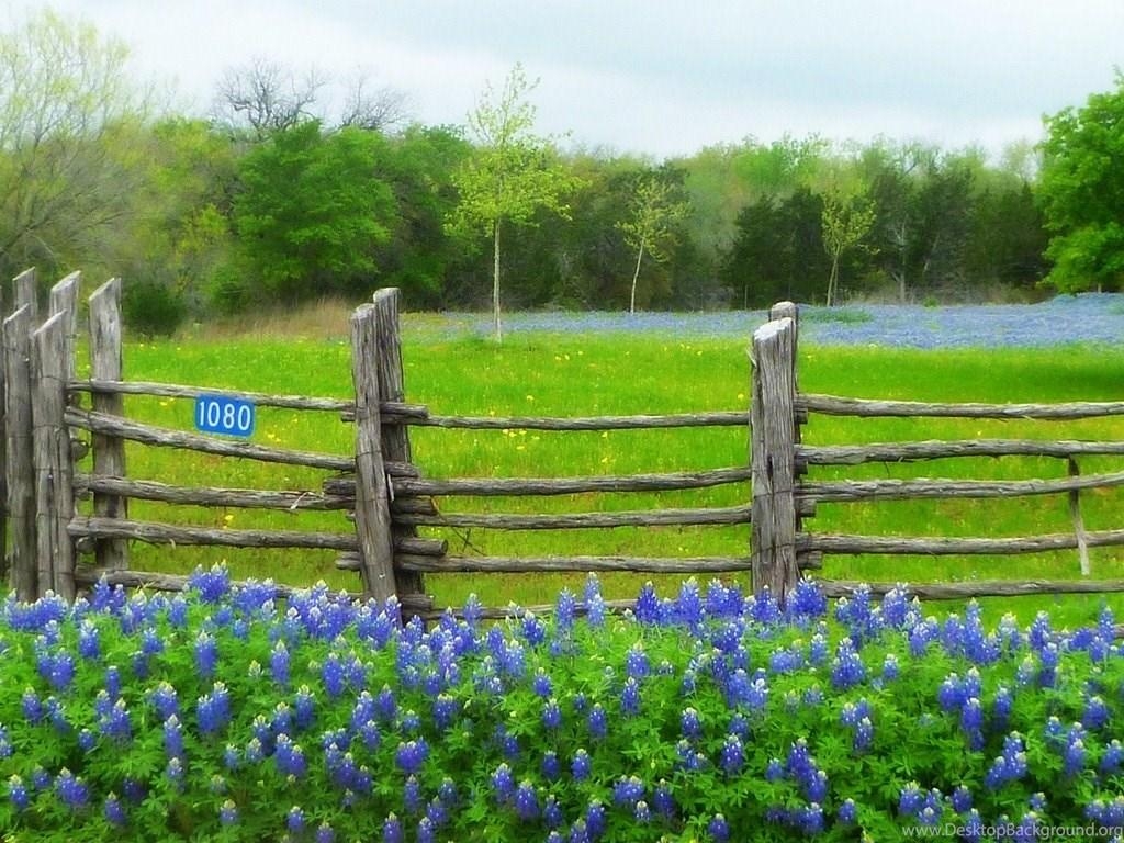 Willow City Loop, Texas, Desktop Hintergrund, Straße, Reise, 1030x770 HD Desktop