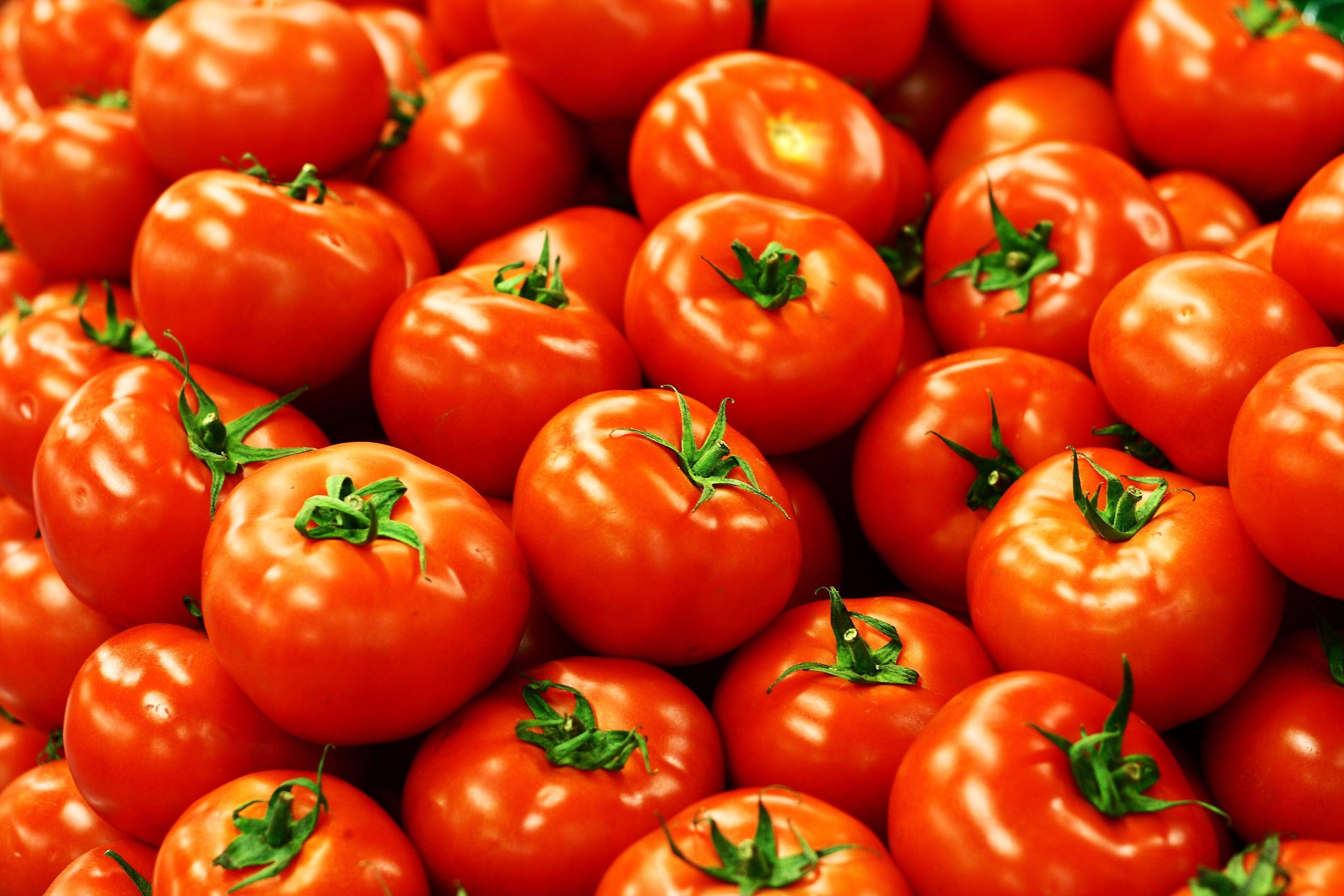 Tomaten, viele, HD, Gemüse, Rot, 3890x2600 4K Desktop