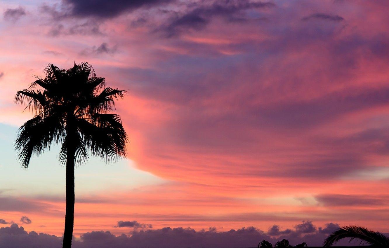 Teneriffa, Himmel, Wolken, Sonnenuntergang, Rosa, 1340x850 HD Desktop