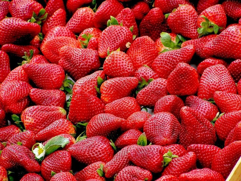 Erdbeeren, Android, Hintergrund, Frucht, Bild, 1030x770 HD Desktop