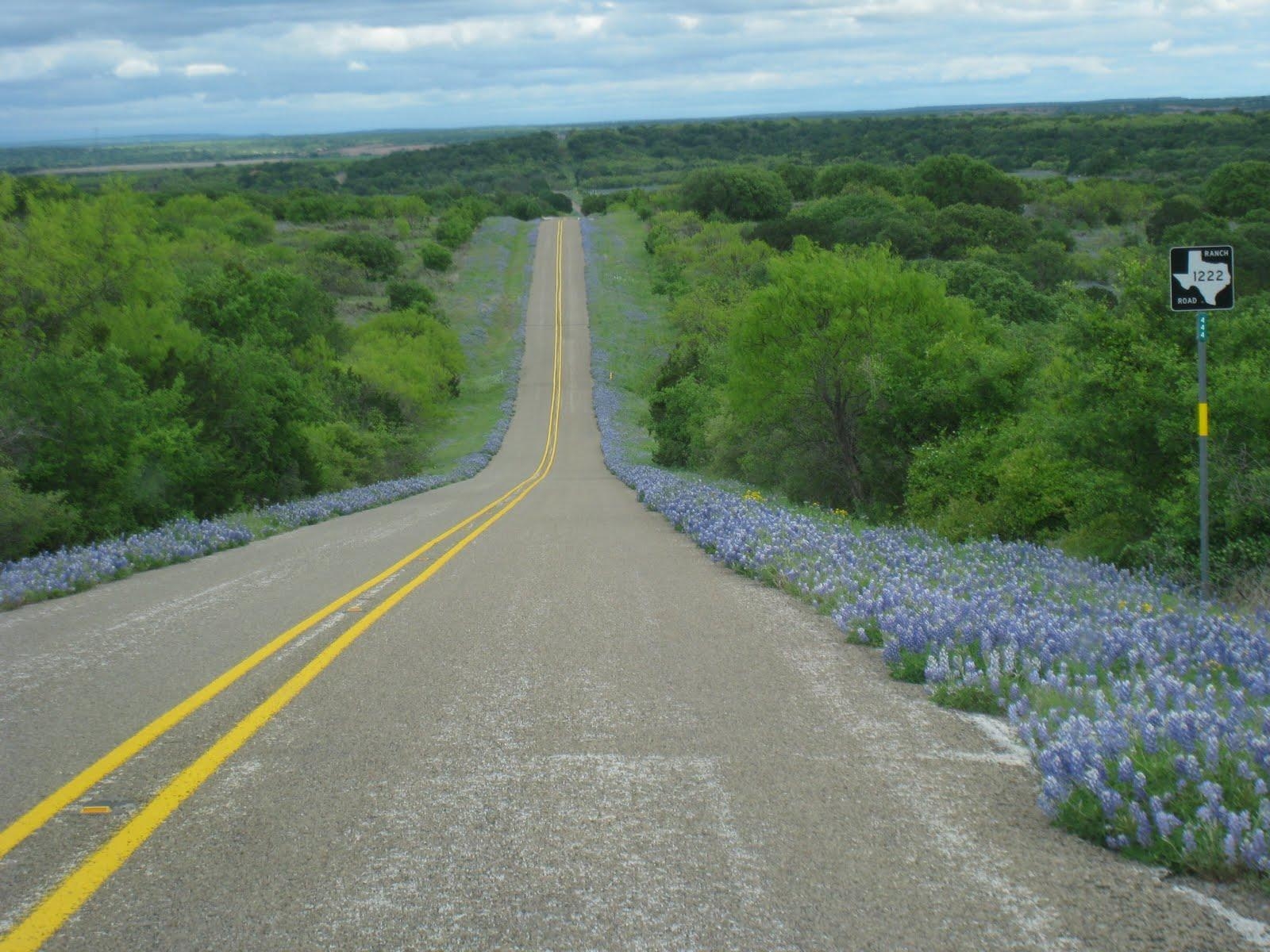 Texas Hill Country, Schönheit, Natur, Landschaft, USA, 1600x1200 HD Desktop