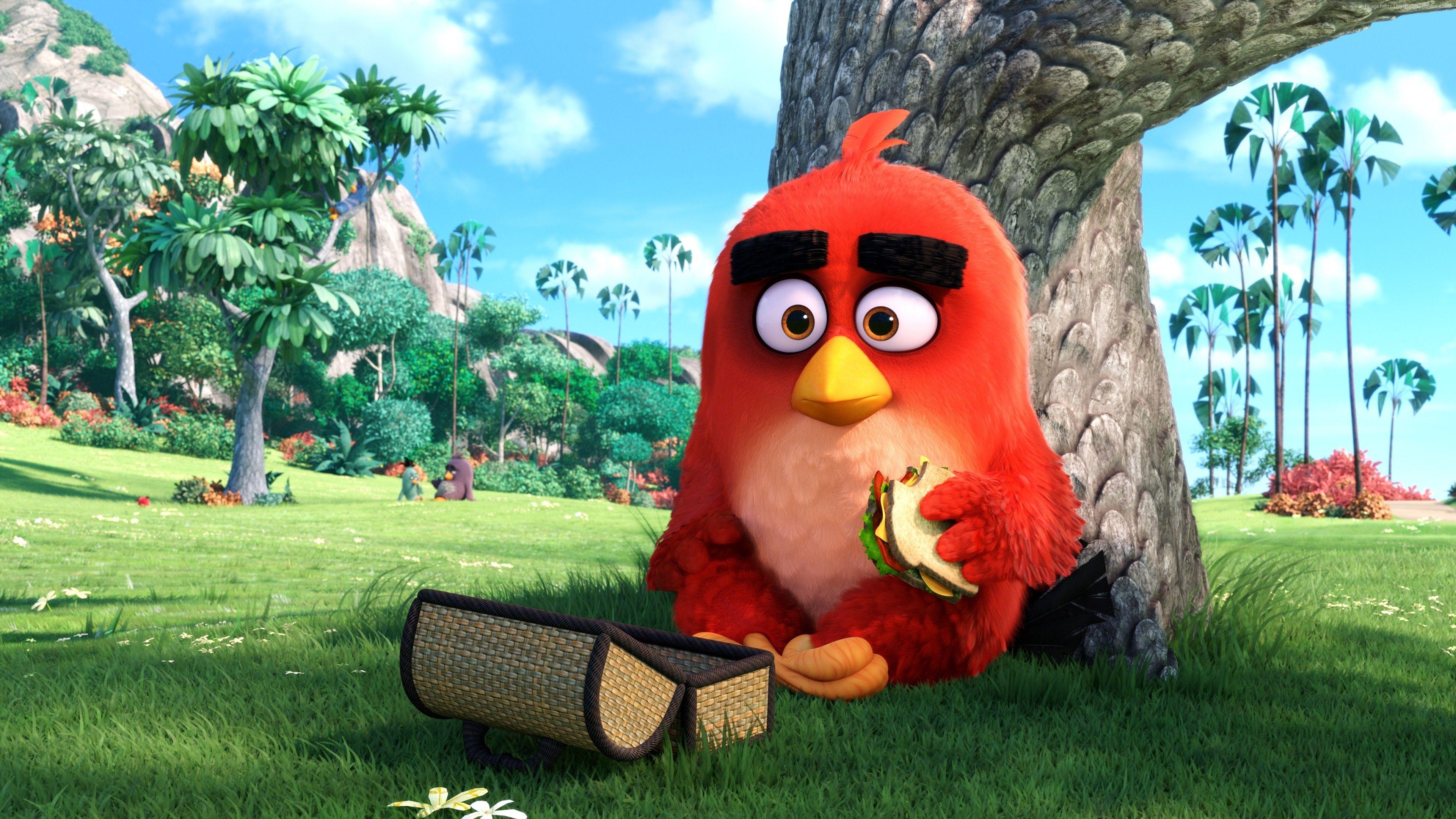 Roter Angry Bird, 4K, Film, Wallpaper, Gaming, 3840x2160 4K Desktop