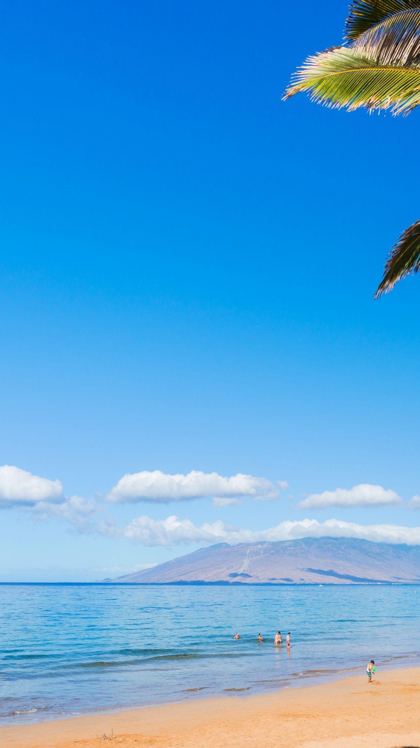 Strand, Ozean, Küste, Palmen, Maui, 1350x2400 HD Handy