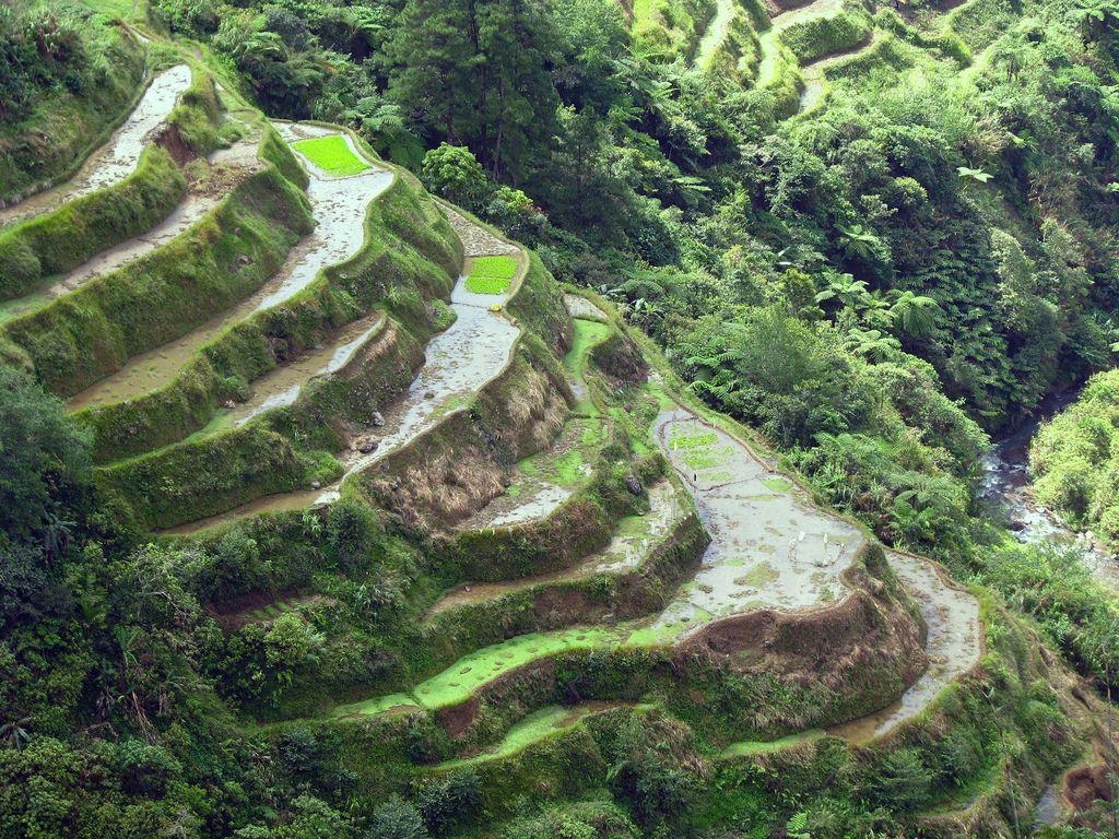 Banaue, Ifugao, Weltwunder, Philippinen, Historische Stätten, 1030x770 HD Desktop