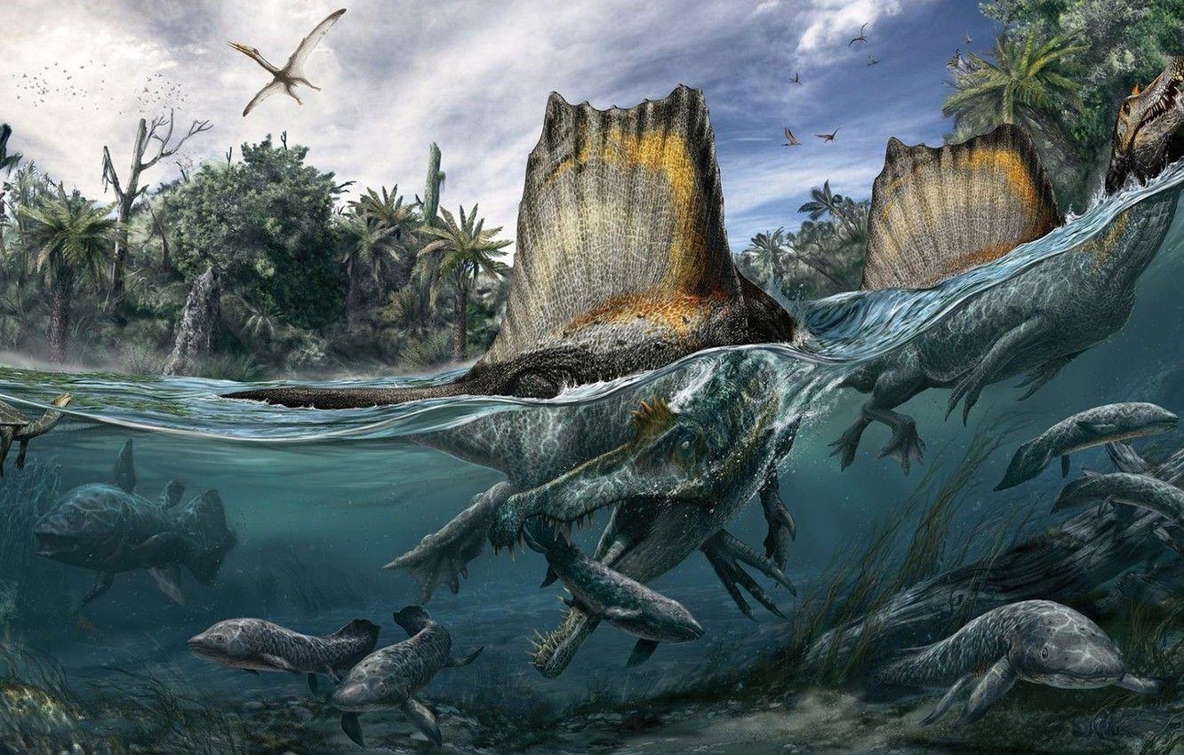 Spinosaurus, Stachelechse, Kreidezeit, Dinosaurier, Reptil, 1340x850 HD Desktop