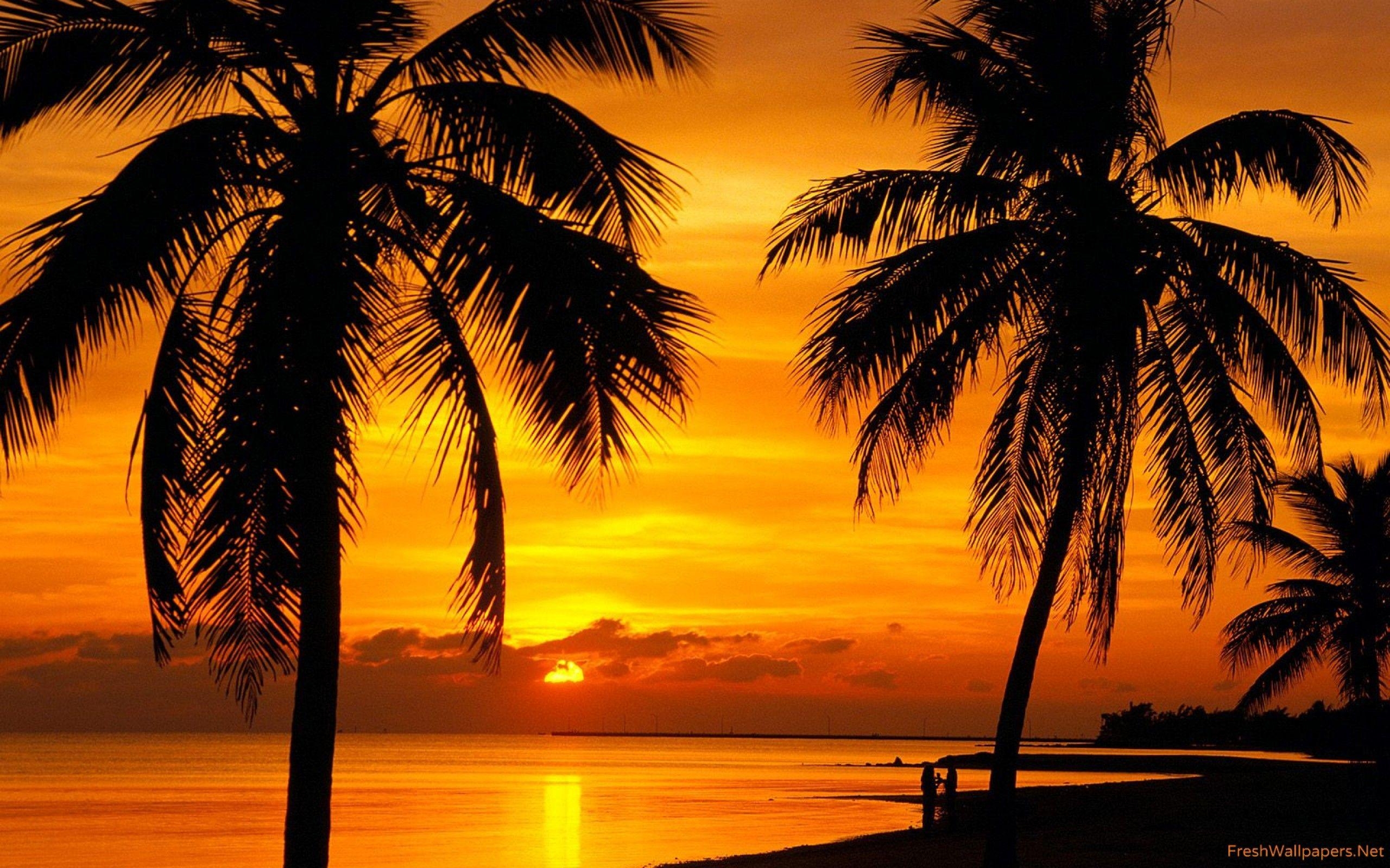 Florida, Sonnenuntergang, Key West, Stille, Meer, 2560x1600 HD Desktop