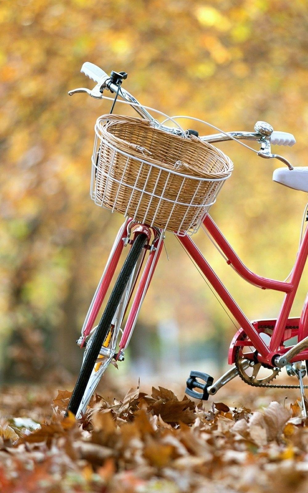 Rotes Fahrrad, HD, Bild, Hintergrund, Fotografie, 1000x1600 HD Handy