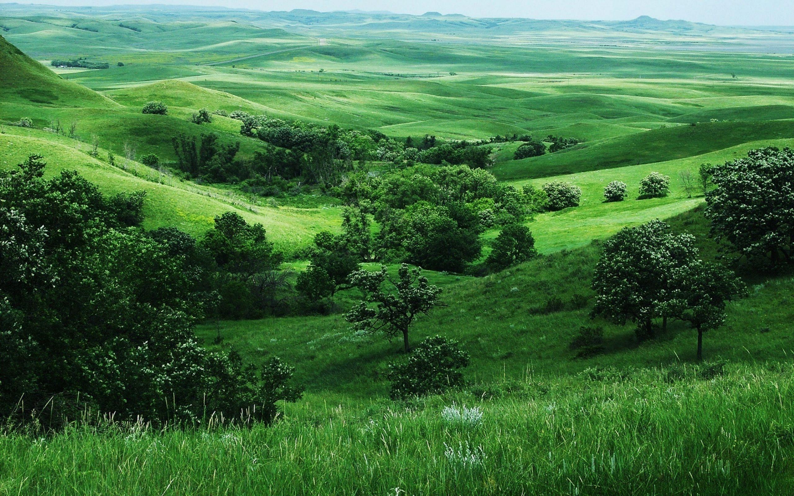 Irische Landschaft, Schön, Natur, Grün, Landschaft, 2560x1600 HD Desktop