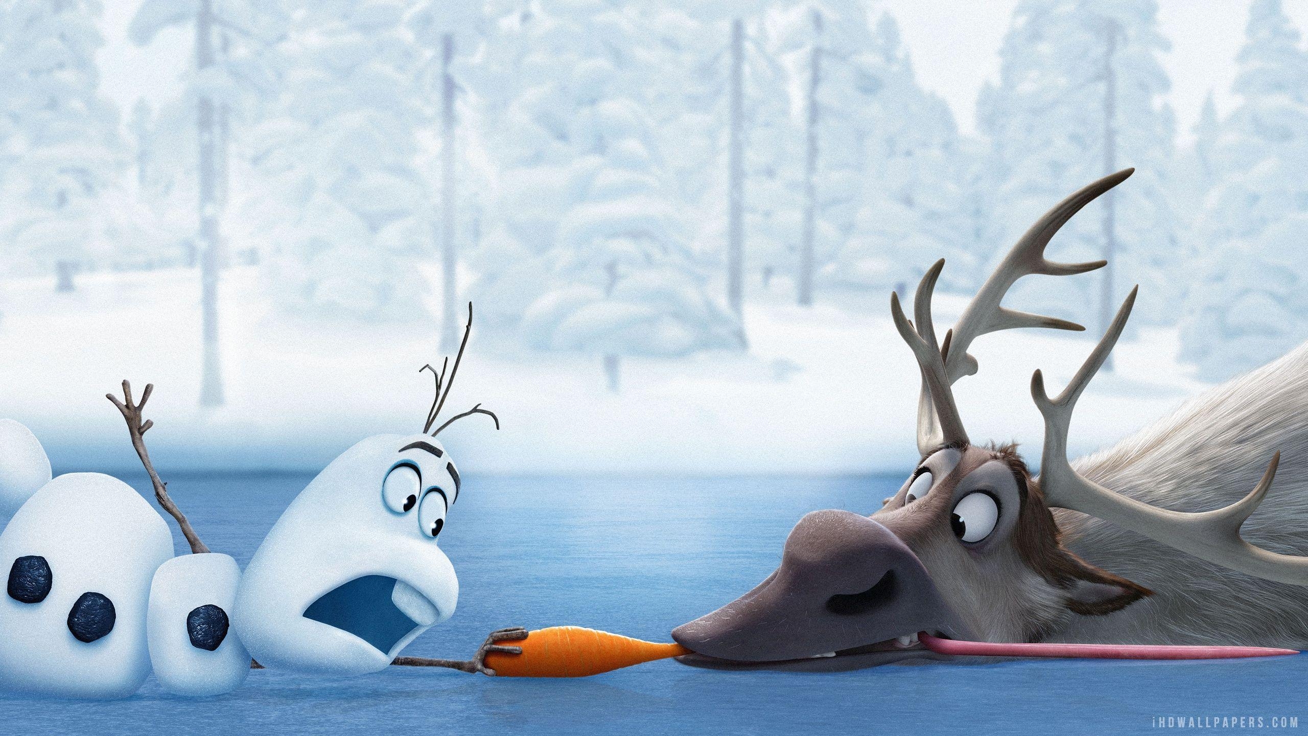 Olaf, Frozen, Disney, Cartoon, Hintergrund, 2560x1440 HD Desktop