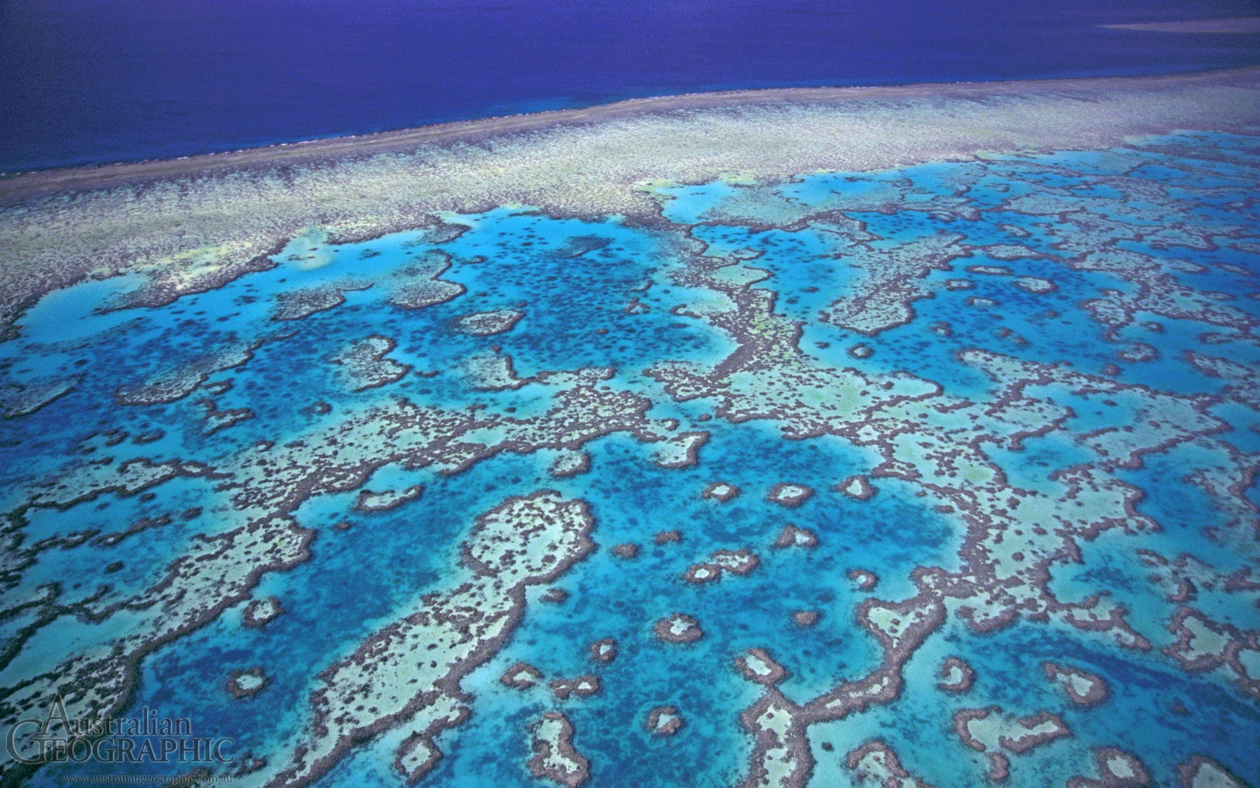 Große Barriereriff, Natur, Korallen, Australien, Ozean, 2560x1600 HD Desktop