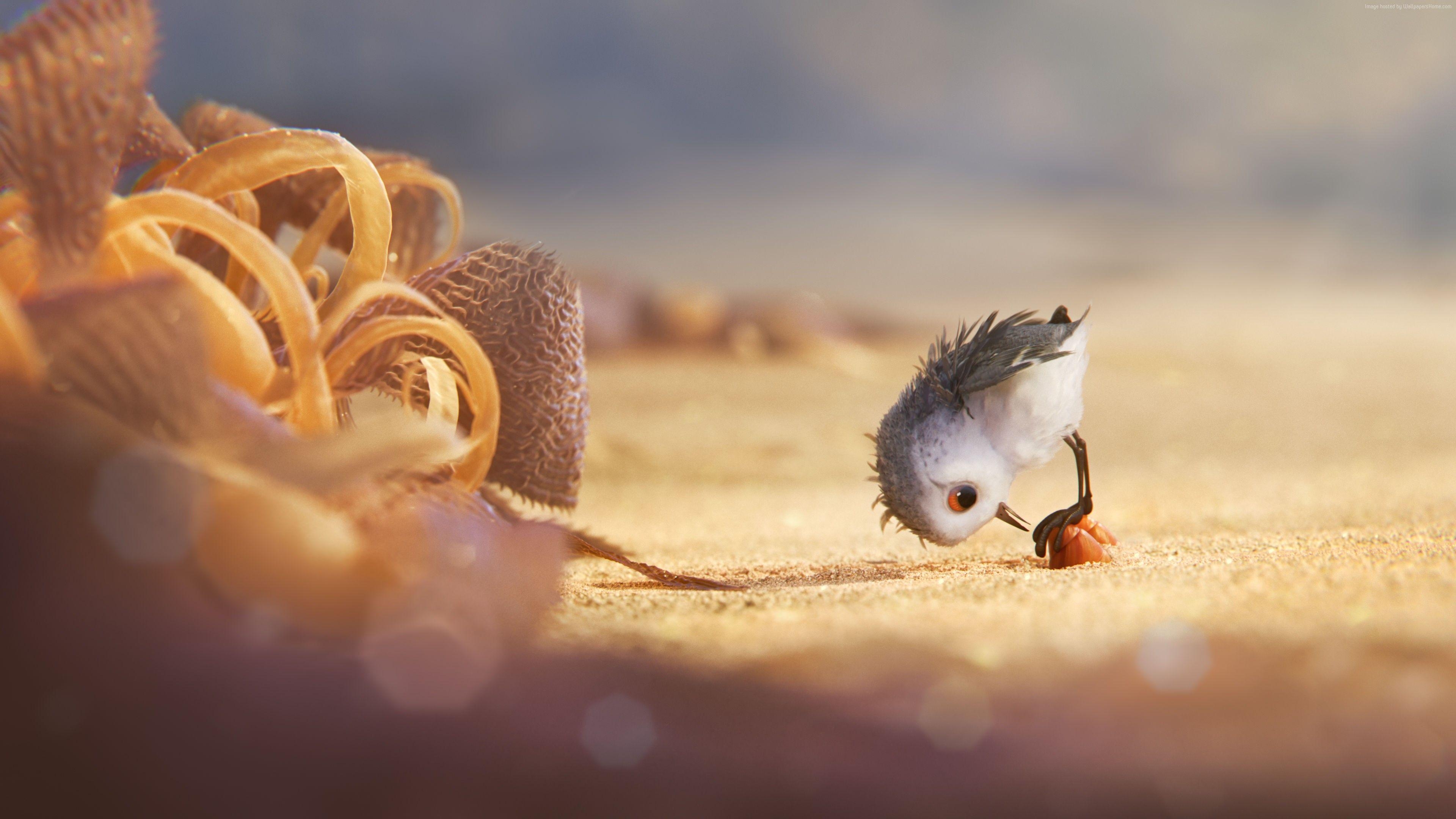 Piper Vogel, Pixar, Animationsfilme, Animation, Vögel, 3840x2160 4K Desktop