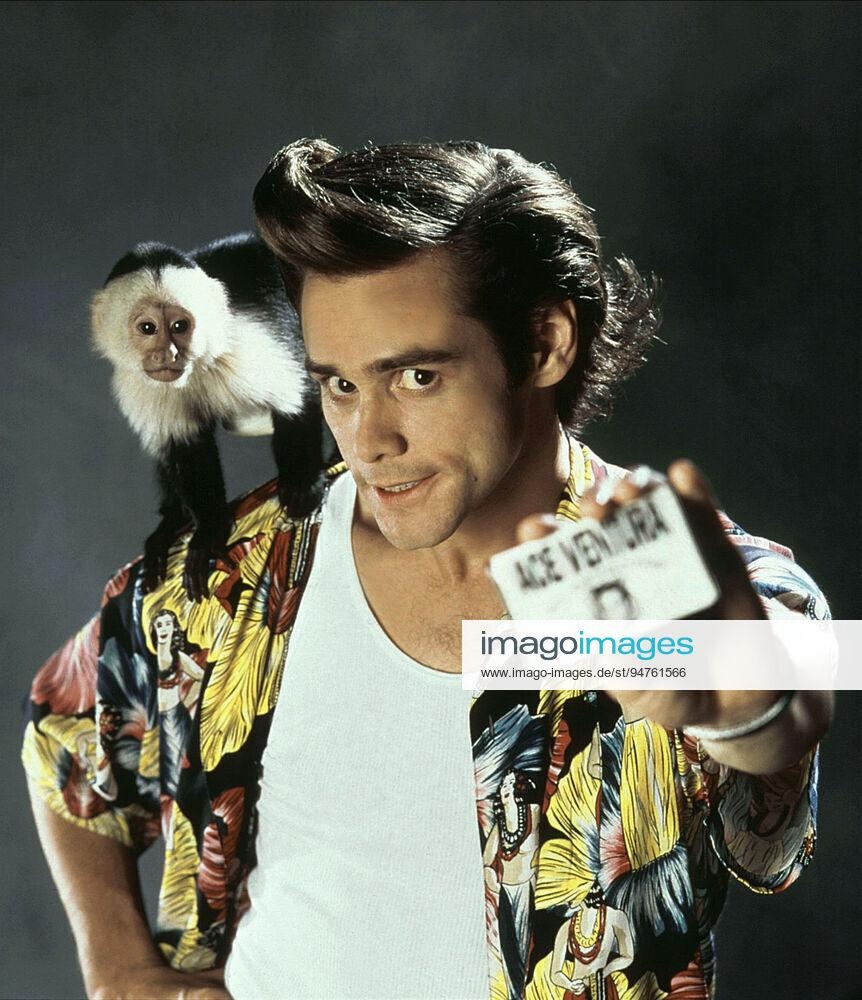 Jim Carrey, Affen, Ace Ventura, Film, 1994, 870x1000 HD Handy