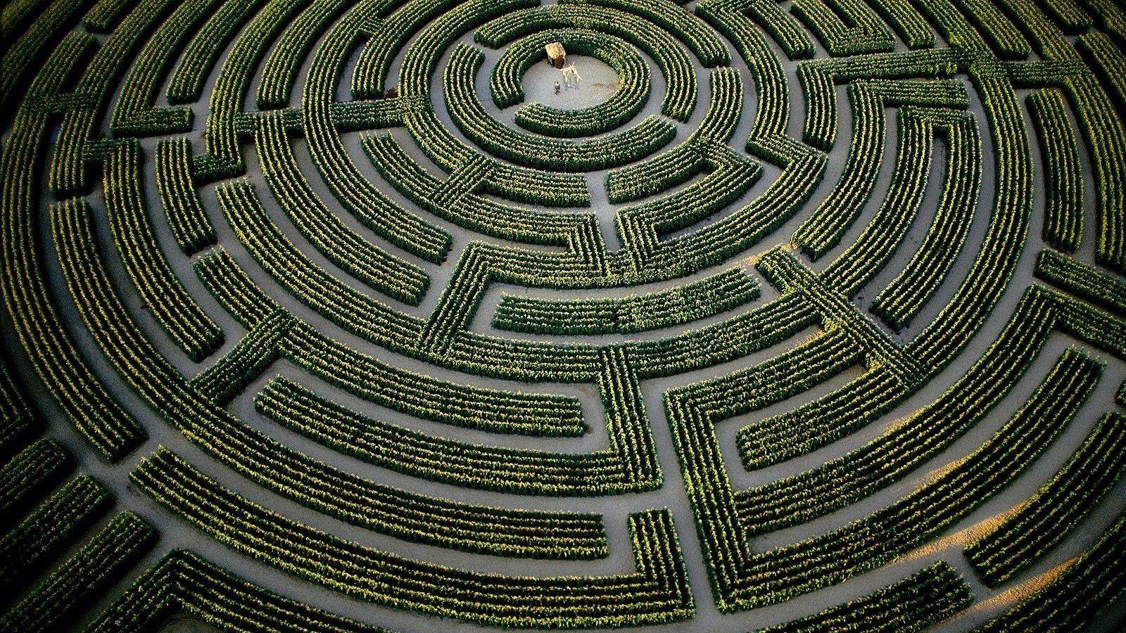 Labyrinth, Kostenloser Download, Hintergrund, Bildschirm, Mysterium, 1600x900 HD Desktop