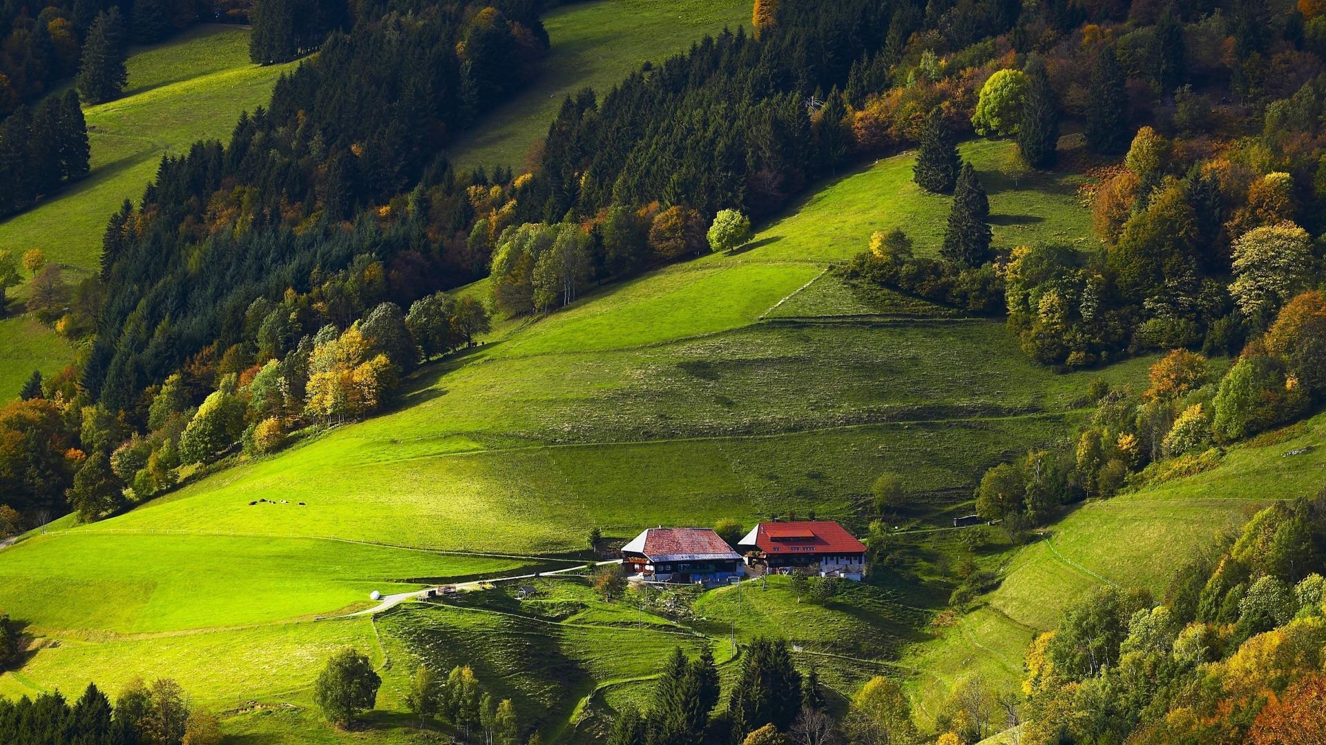 Deutschland Schwarzwald, Felder, Wälder, Landschaft, 1920x1080 Full HD Desktop