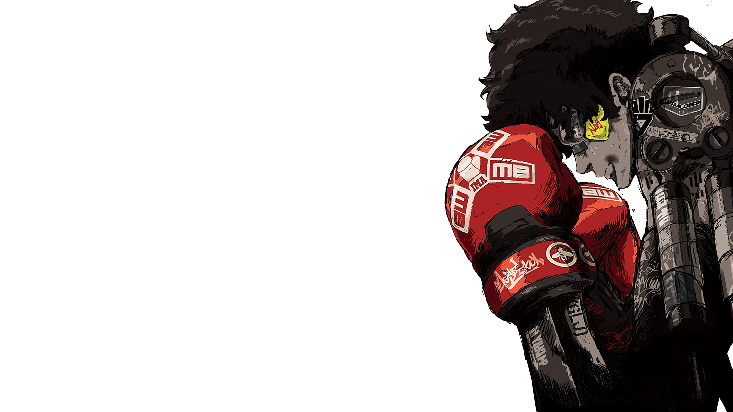 Megalo Box, Anime, Joe, Animation, Fighter, 2560x1440 HD Desktop