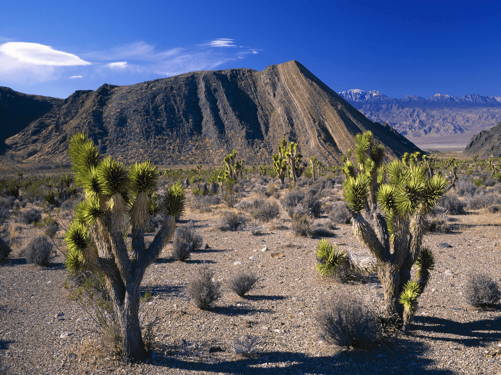 Nevada, Reisen, USA, Landschaft, Abenteuer, 1600x1200 HD Desktop