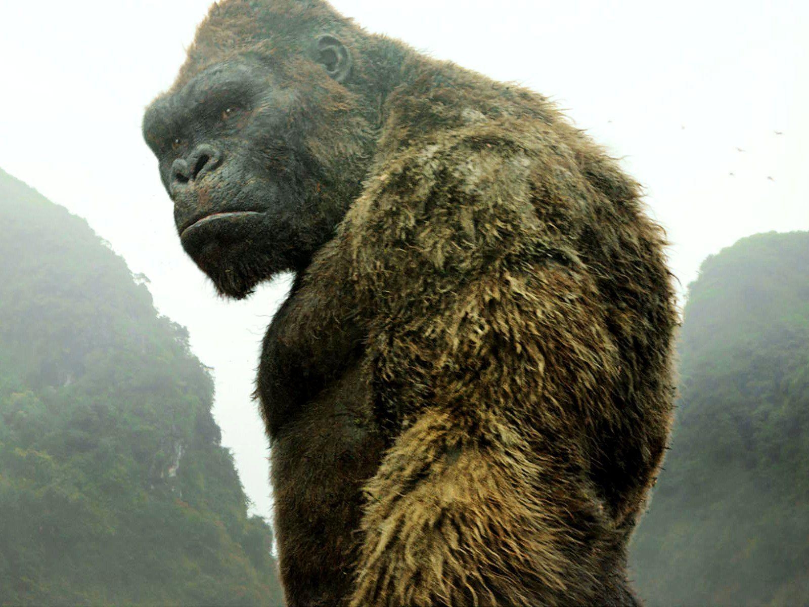 King Kong, HD, Riesenaffe, Film, Abenteuer, 1600x1200 HD Desktop