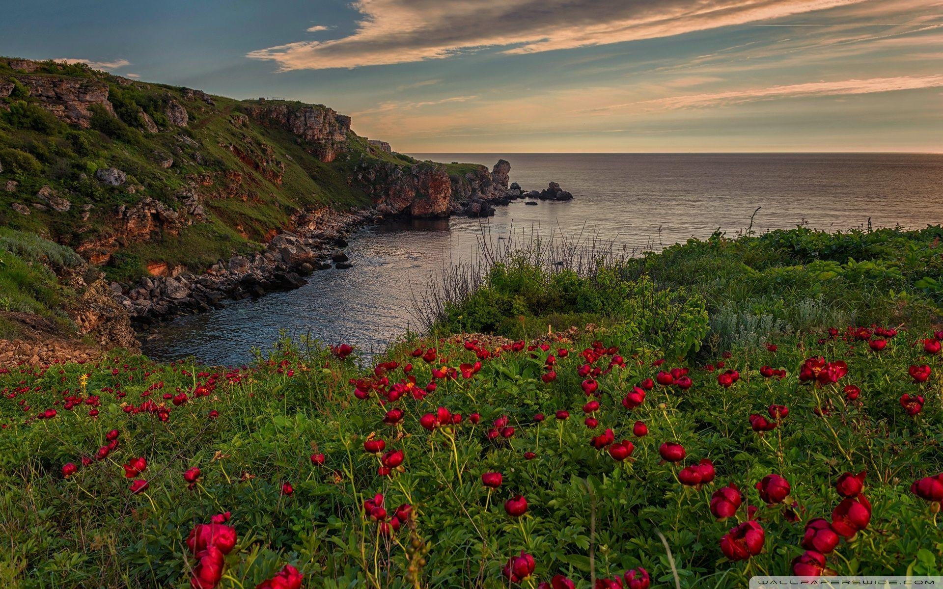 Kamen Bryag, Meer, Ultra HD, Bulgarien, Landschaft, 1920x1200 HD Desktop