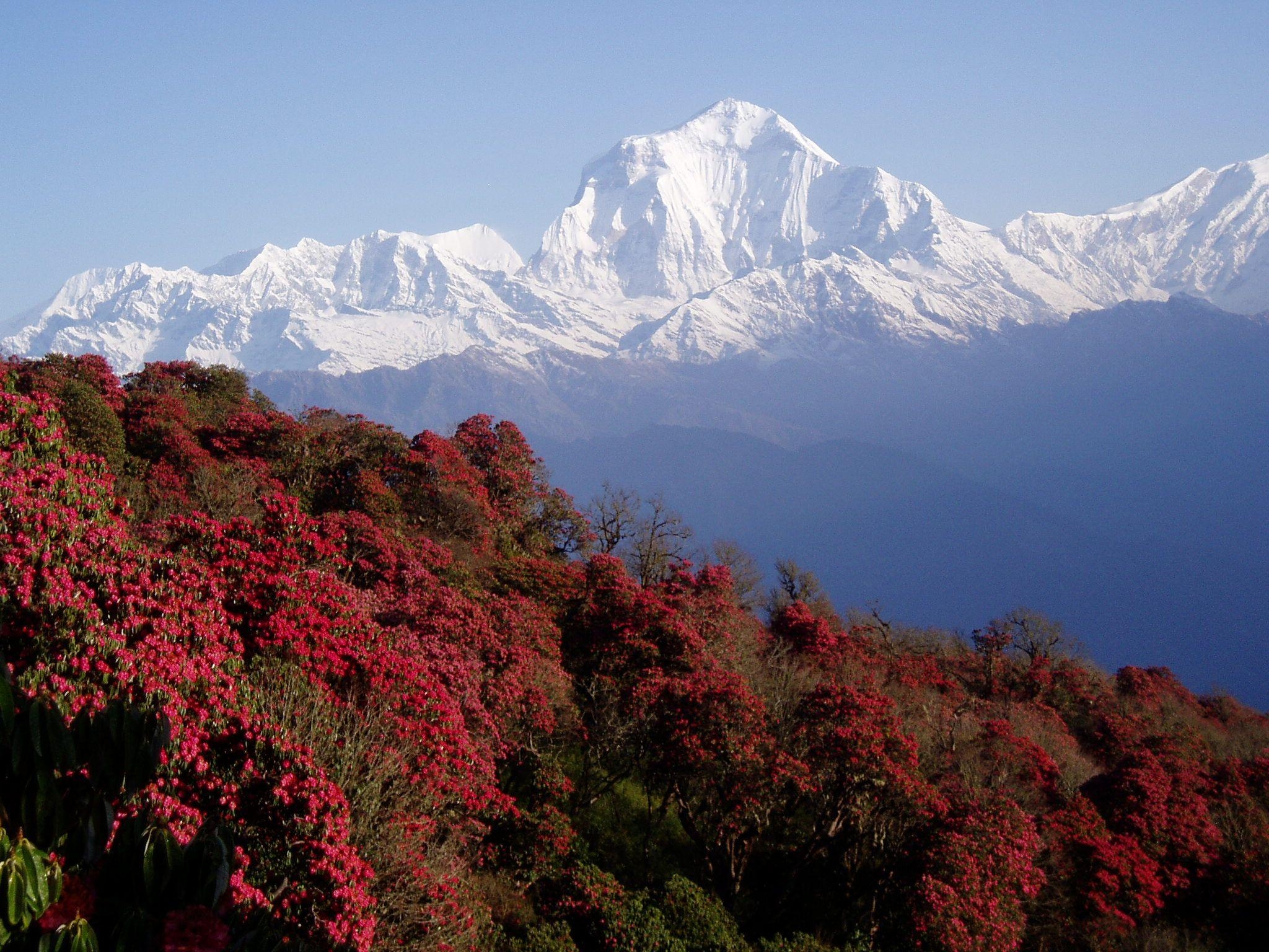 Nepal, x1536, Bildschirm, Hintergrund, 2050x1540 HD Desktop