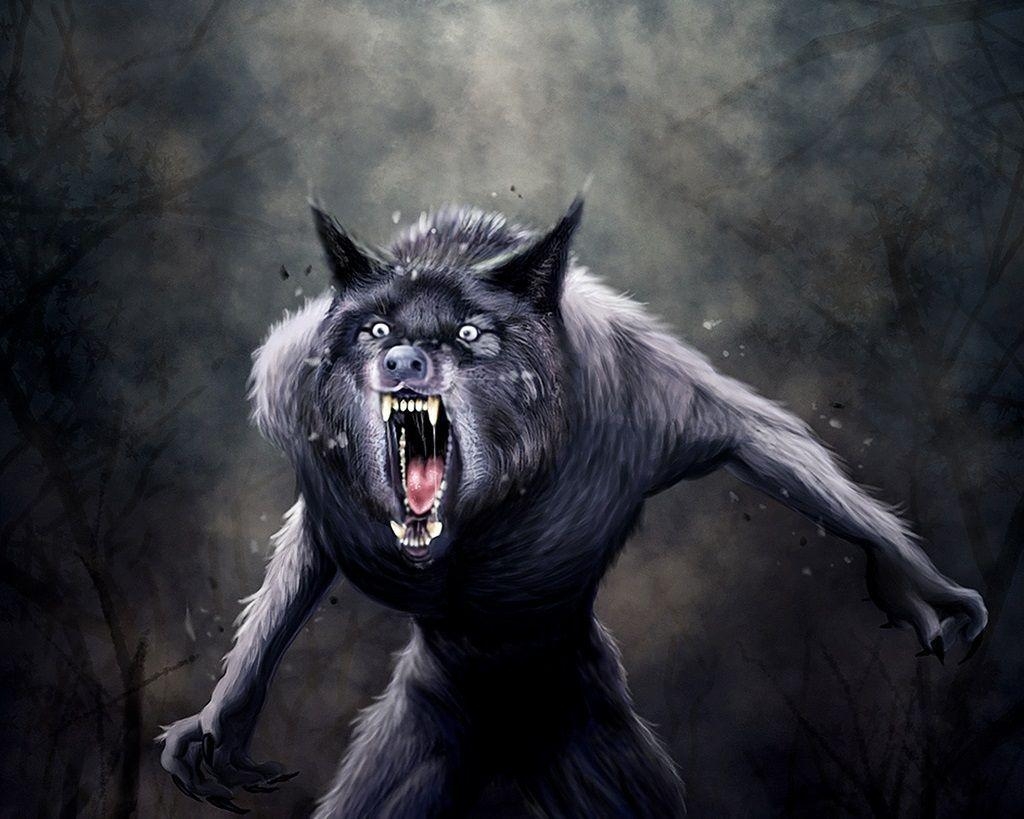 Werwolf, gruselige, Desktop, Humor, Bestie, 1030x820 HD Desktop