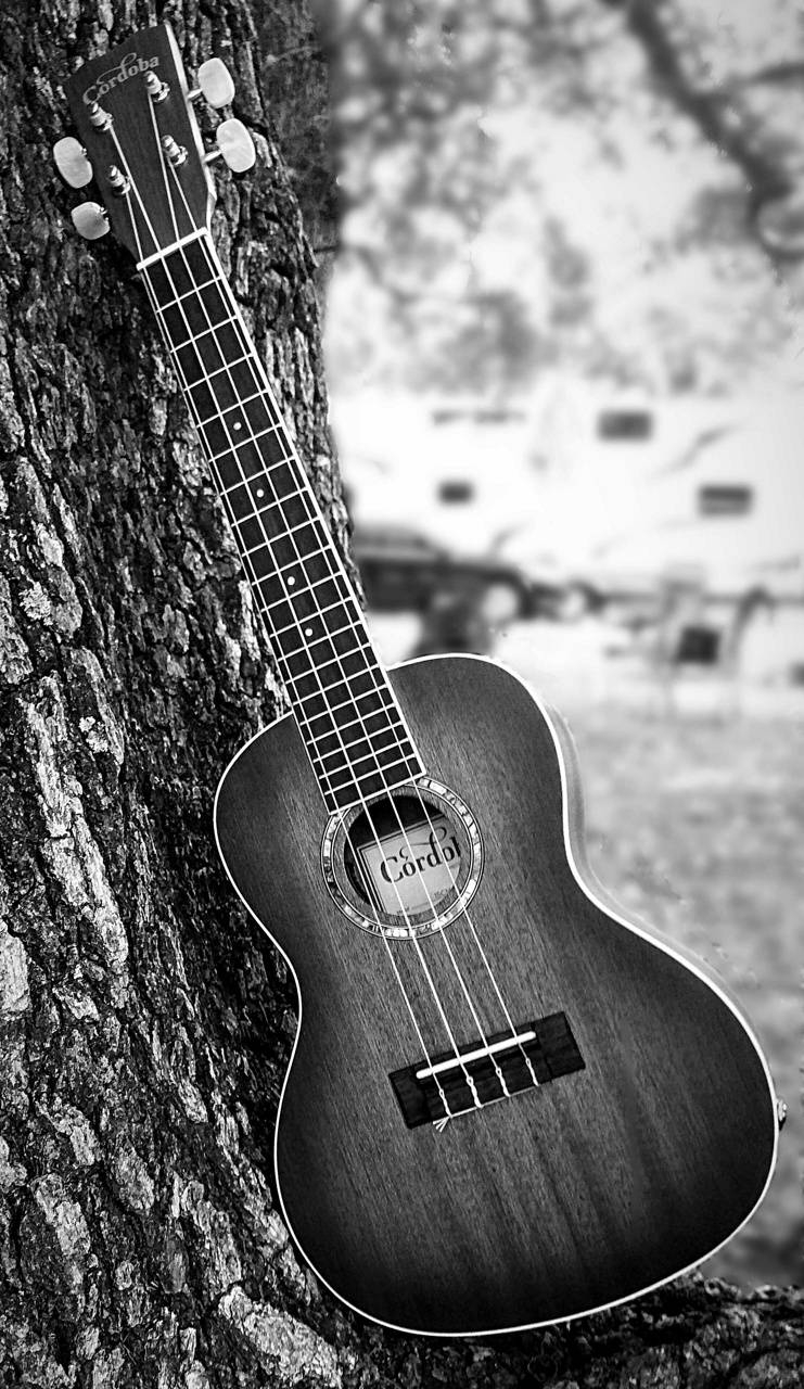 Ukulele, Musik, Instrument, Hawaii, Hintergrund, 750x1280 HD Handy