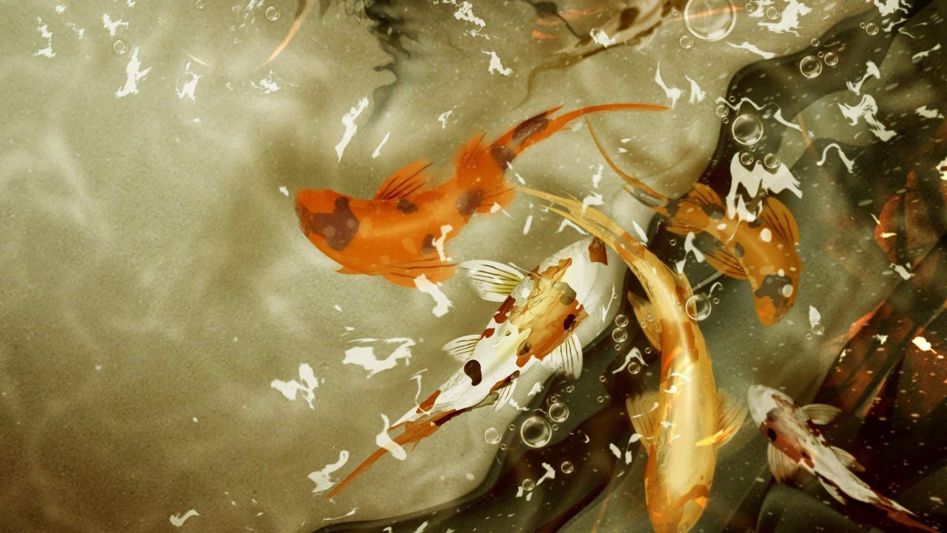 Koi Fische, Bild, Hintergrund, Japanisch, Farben, 1920x1080 Full HD Desktop