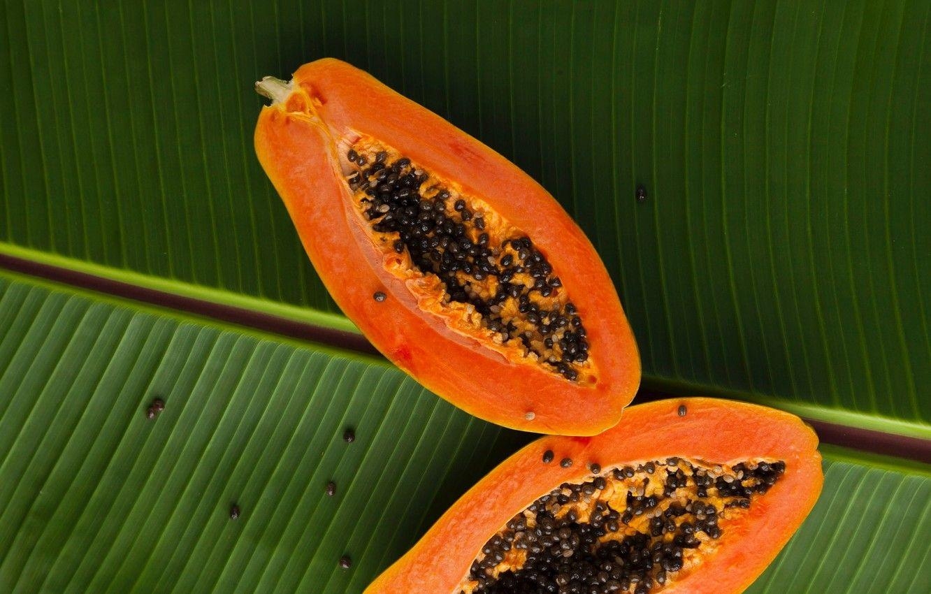 Papaya, Blätter, Früchte, Desktopbereich, Exotisch, 1340x850 HD Desktop