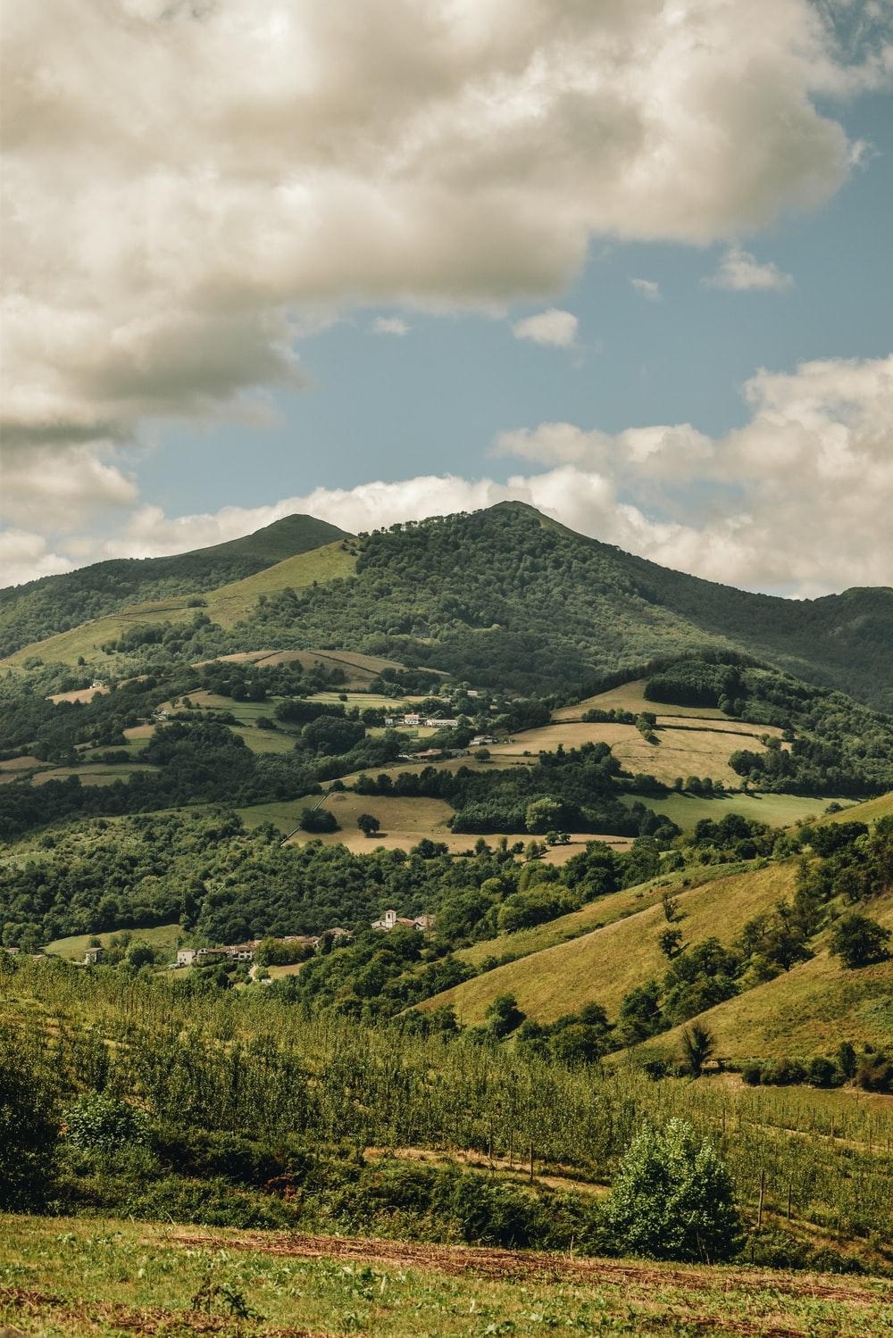 Texas Hill, Landschaft, HD Bild, Natur, Foto, 1000x1500 HD Handy