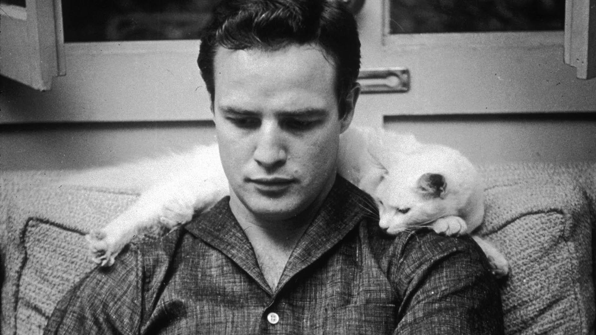 Brando Bild, Marlon Brando, Hintergrund, Kultikonen, Schauspiel, 1920x1080 Full HD Desktop