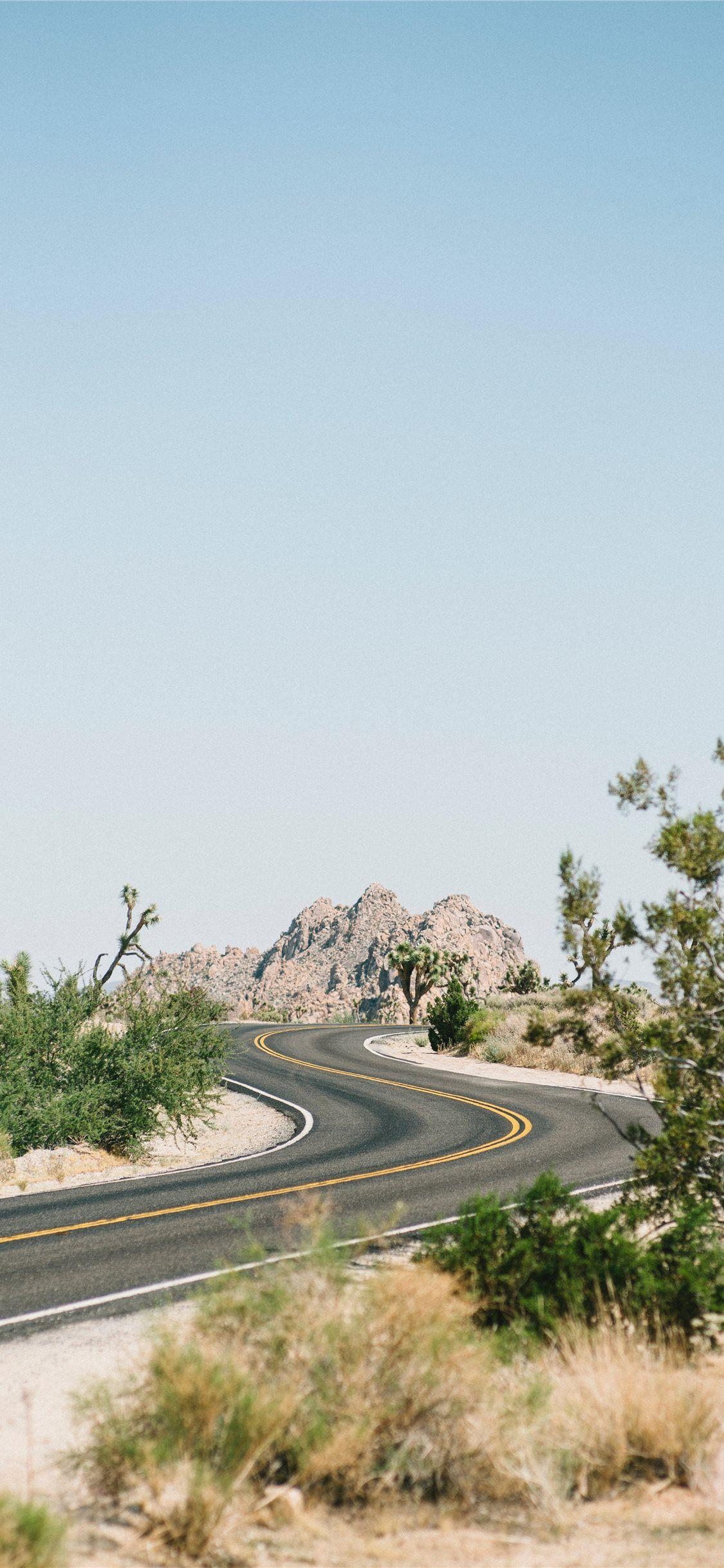 Joshua Tree, Nationalpark, USA, iPhone X, 1130x2440 HD Handy