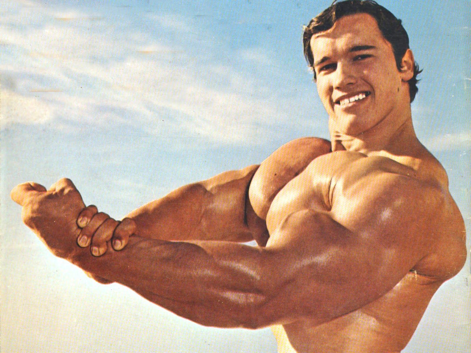 Arnold Schwarzenegger, 1200x, Hintergrund, Film, Ikone, 1600x1200 HD Desktop