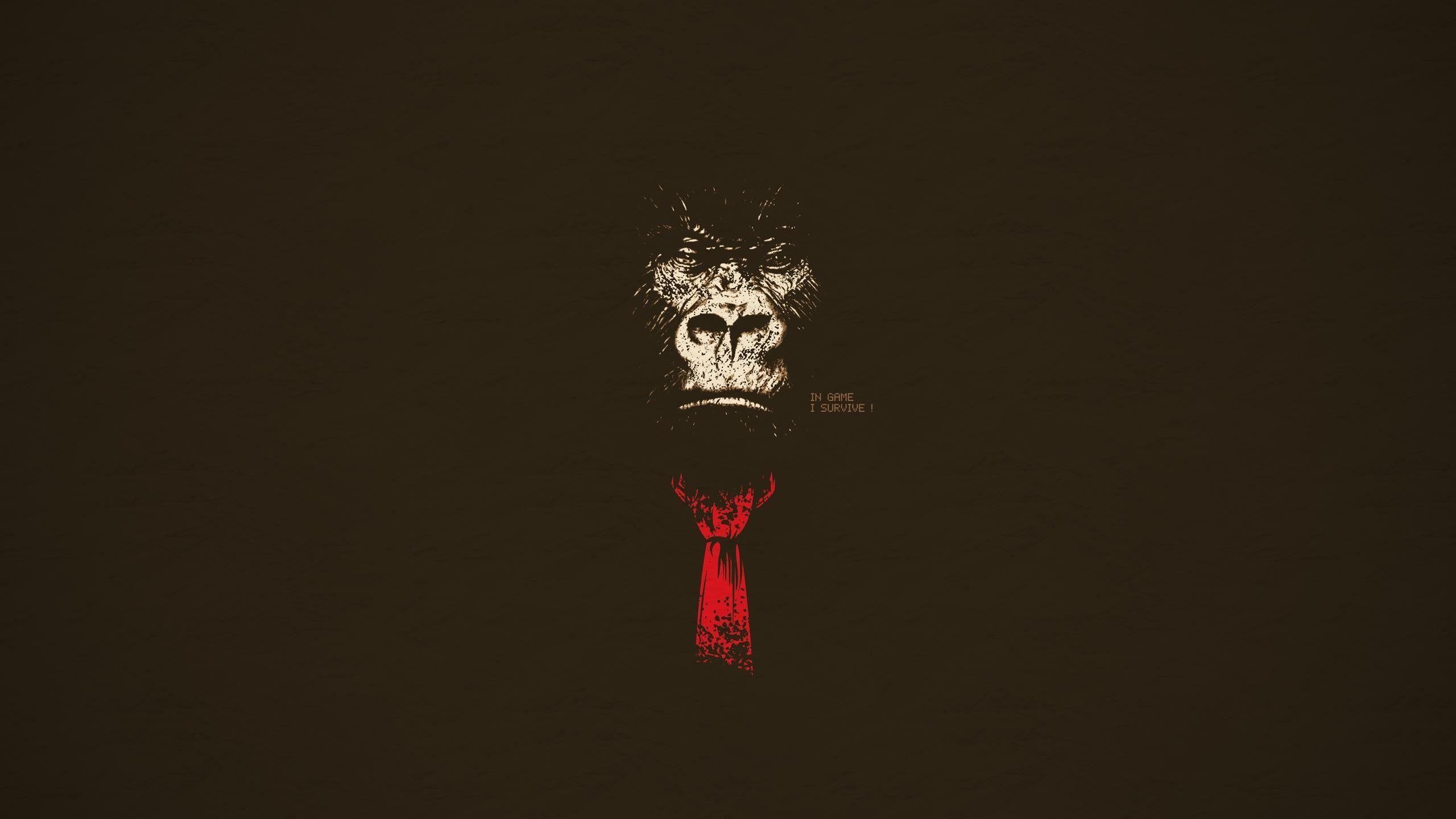 Donkey Kong, Minimalismus, Dunkel, Hintergrund, Affe, 2560x1440 HD Desktop