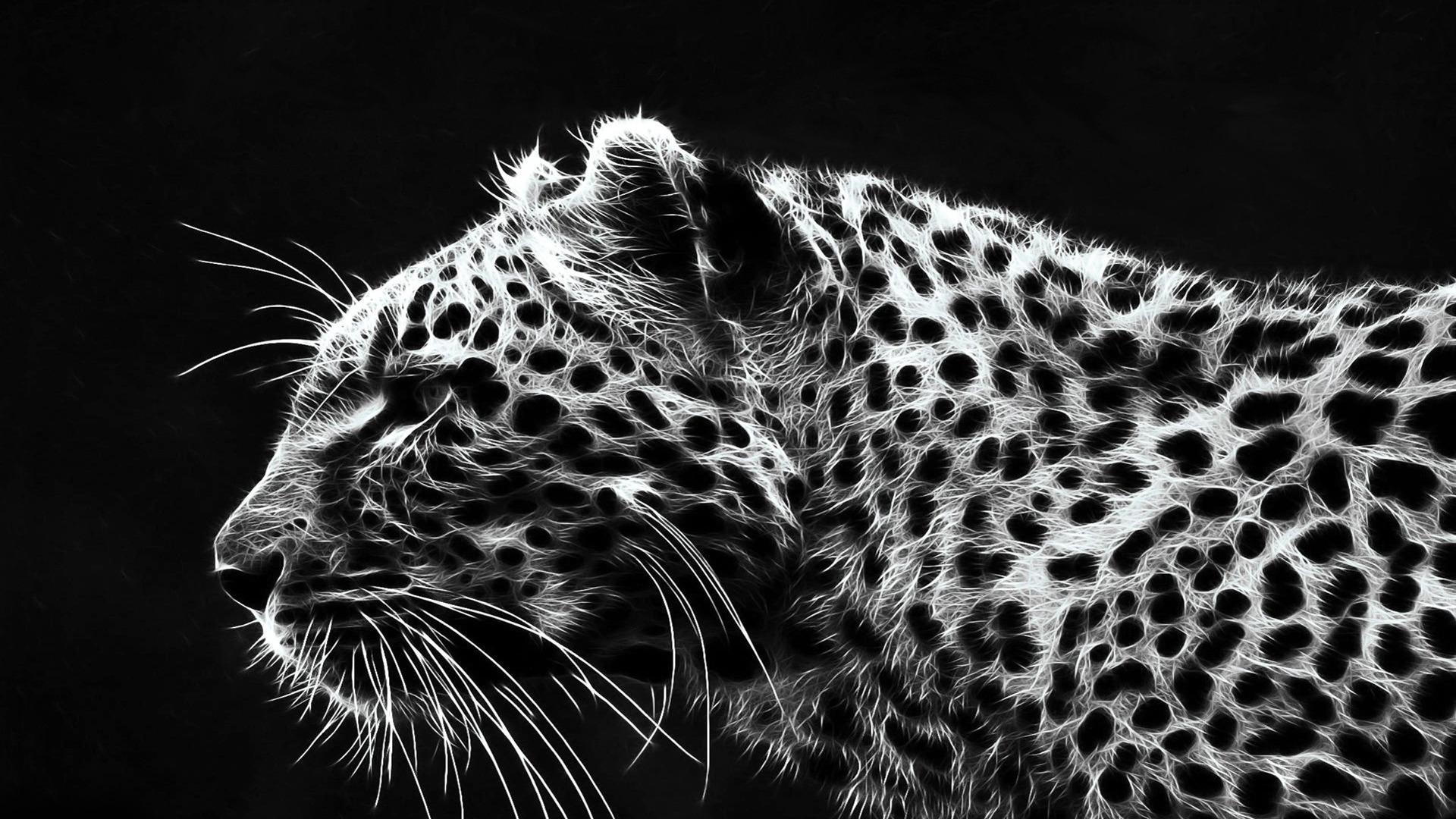 Gepard, Tiere, Hintergrund, Android, kostenlos, 1920x1080 Full HD Desktop