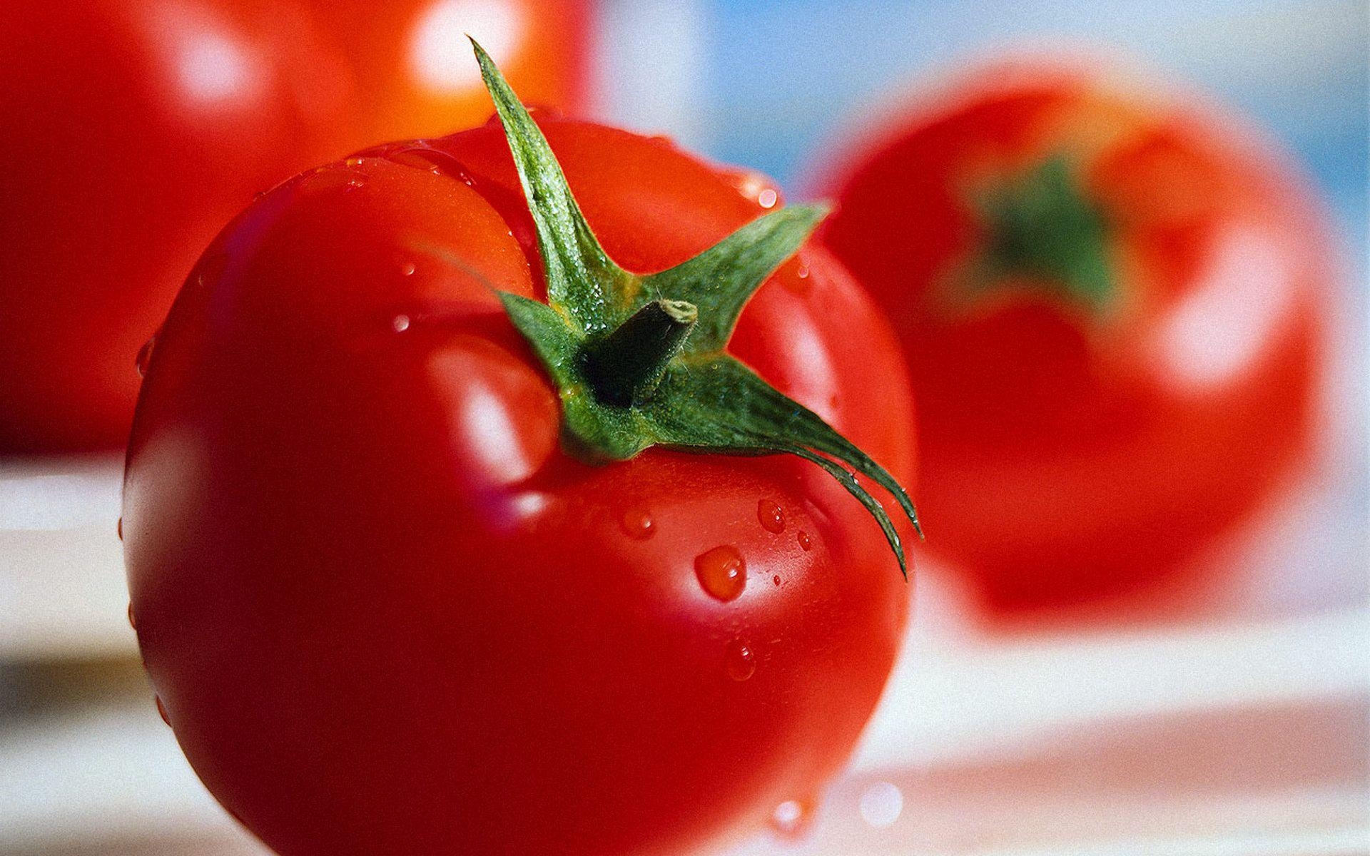 Tomate, Bild, Lebensmittel, Hintergrund, Gemüse, 1920x1200 HD Desktop