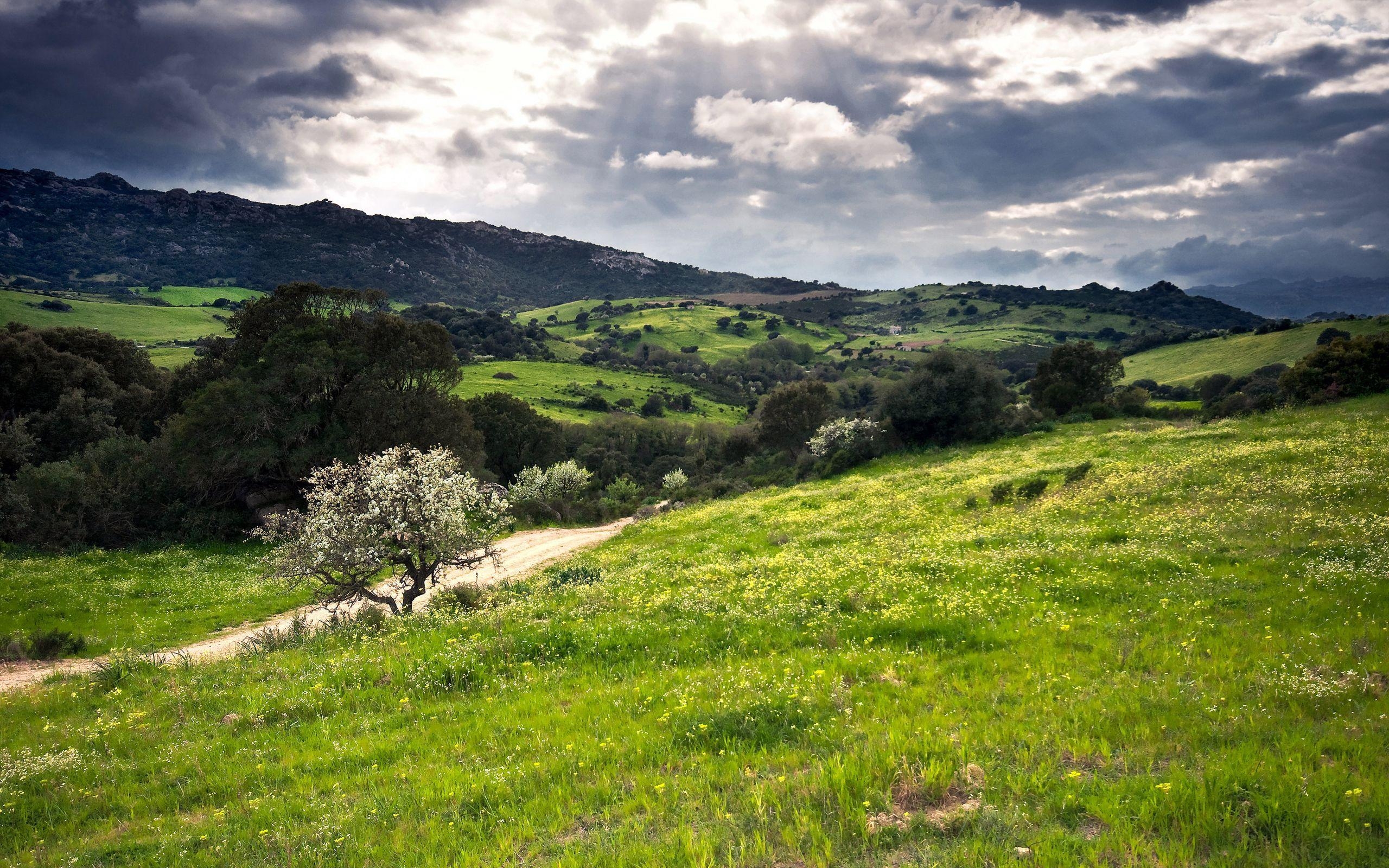 Hügel, Grün, Sardinien, Italien, Desktop, 2560x1600 HD Desktop