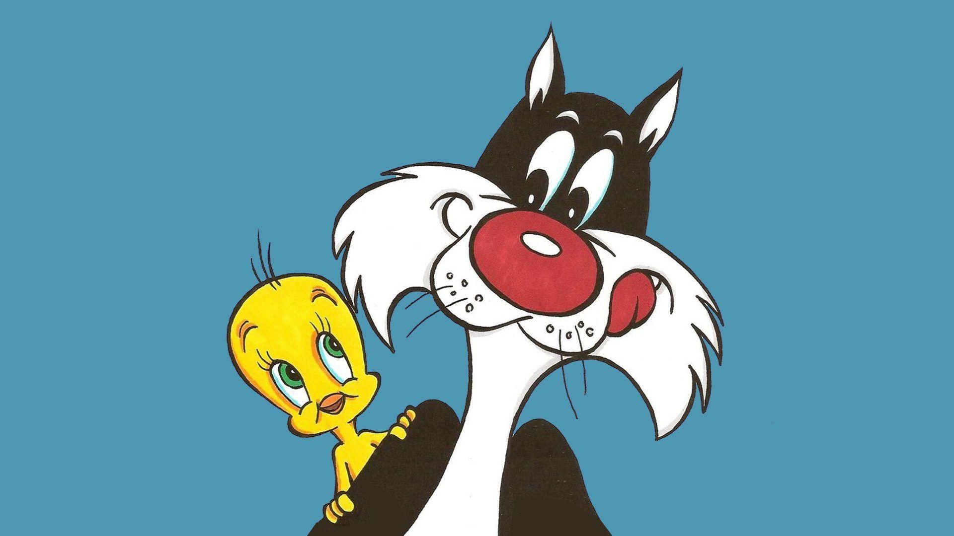 Tweety, Sylvester, Looney Tunes, Cartoon, 1920x1200, 1920x1080 Full HD Desktop