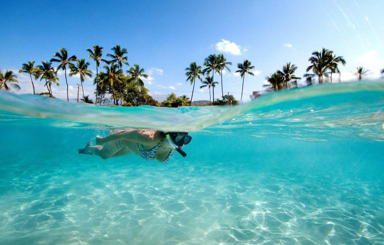 Transparenz, Wasser, Seychellen, Palmen, Exotisch, 1340x850 HD Desktop